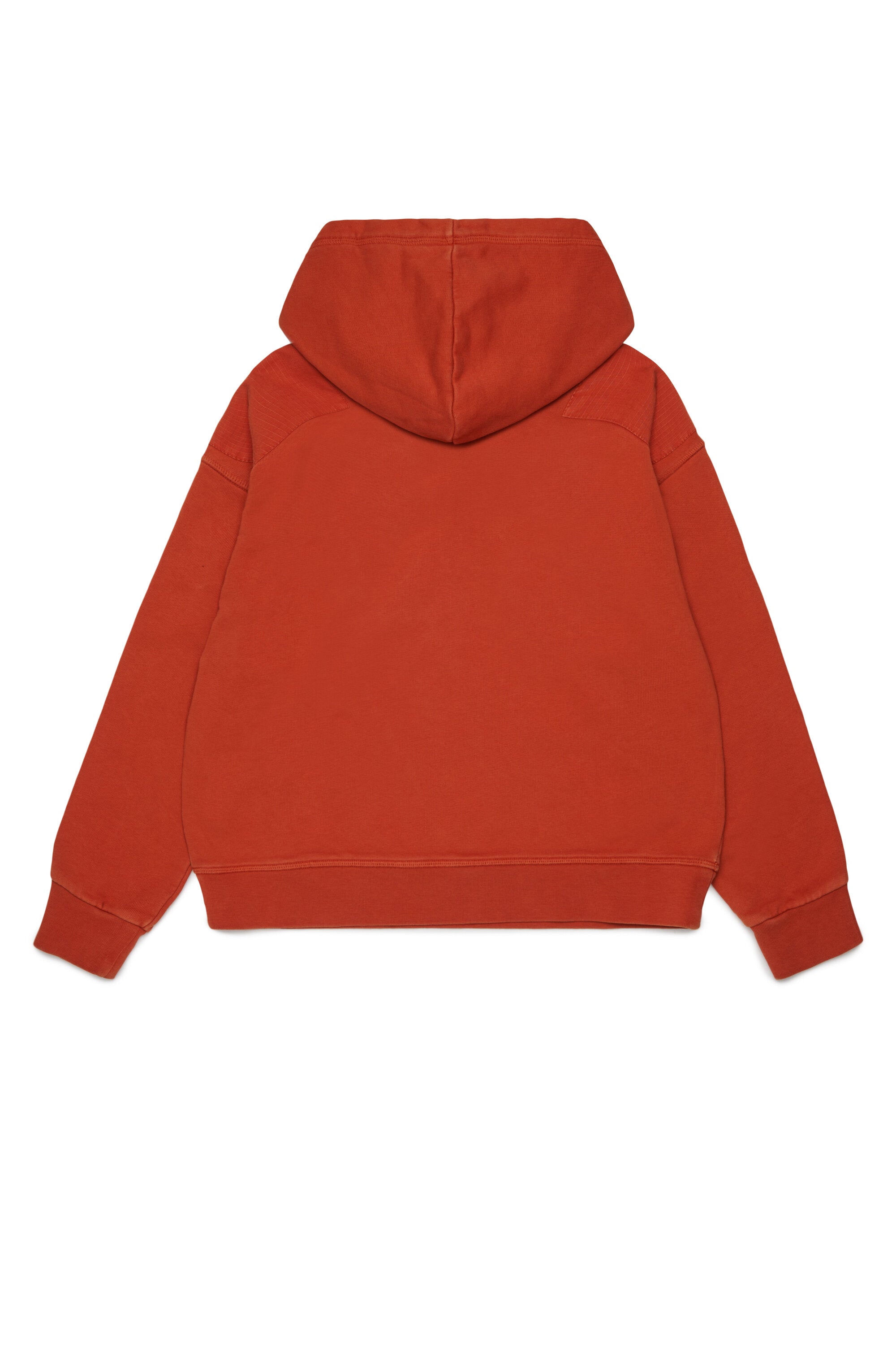 Hooded sweatshirt with logo