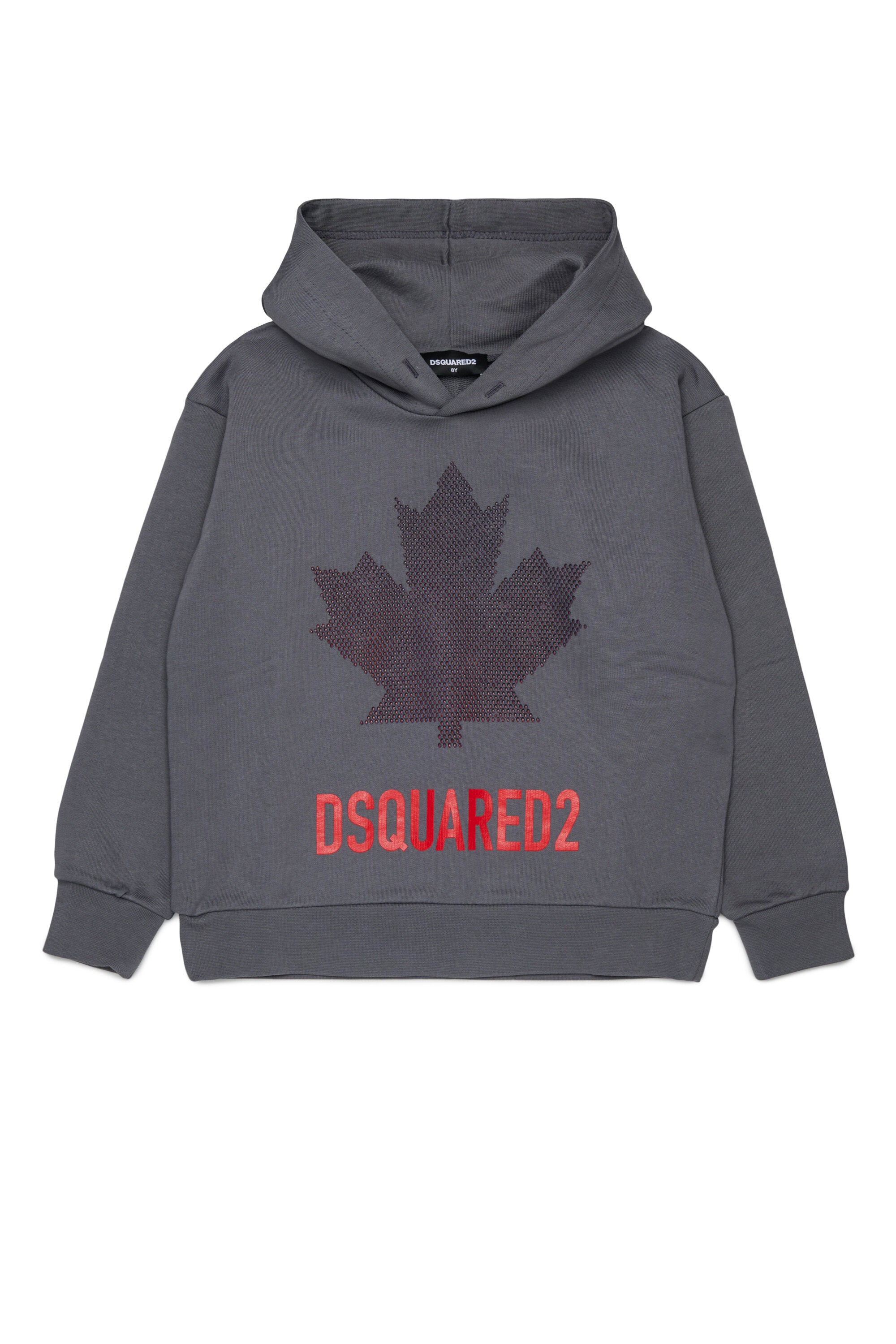 Hooded sweatshirt with logo