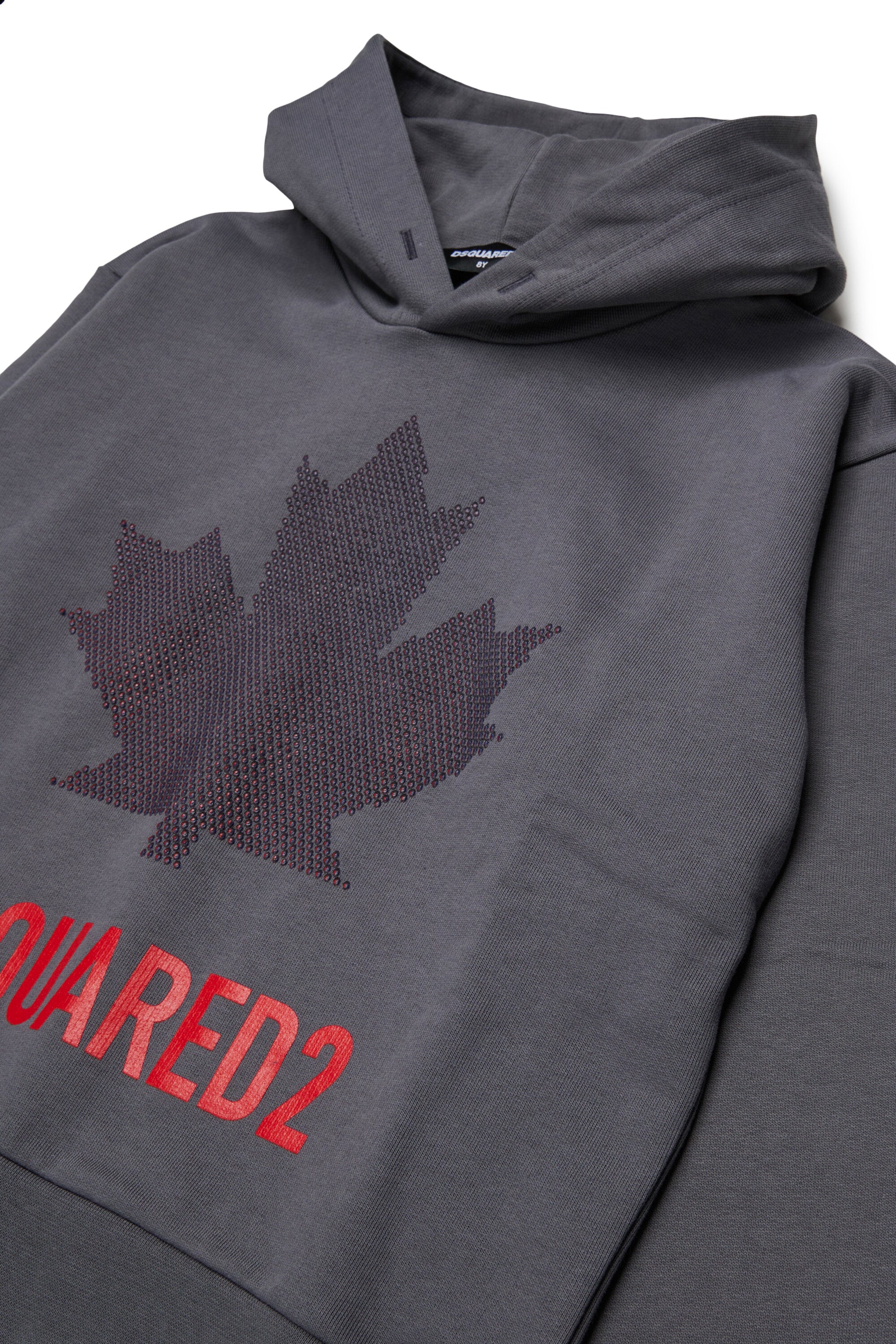 Hooded sweatshirt with logo