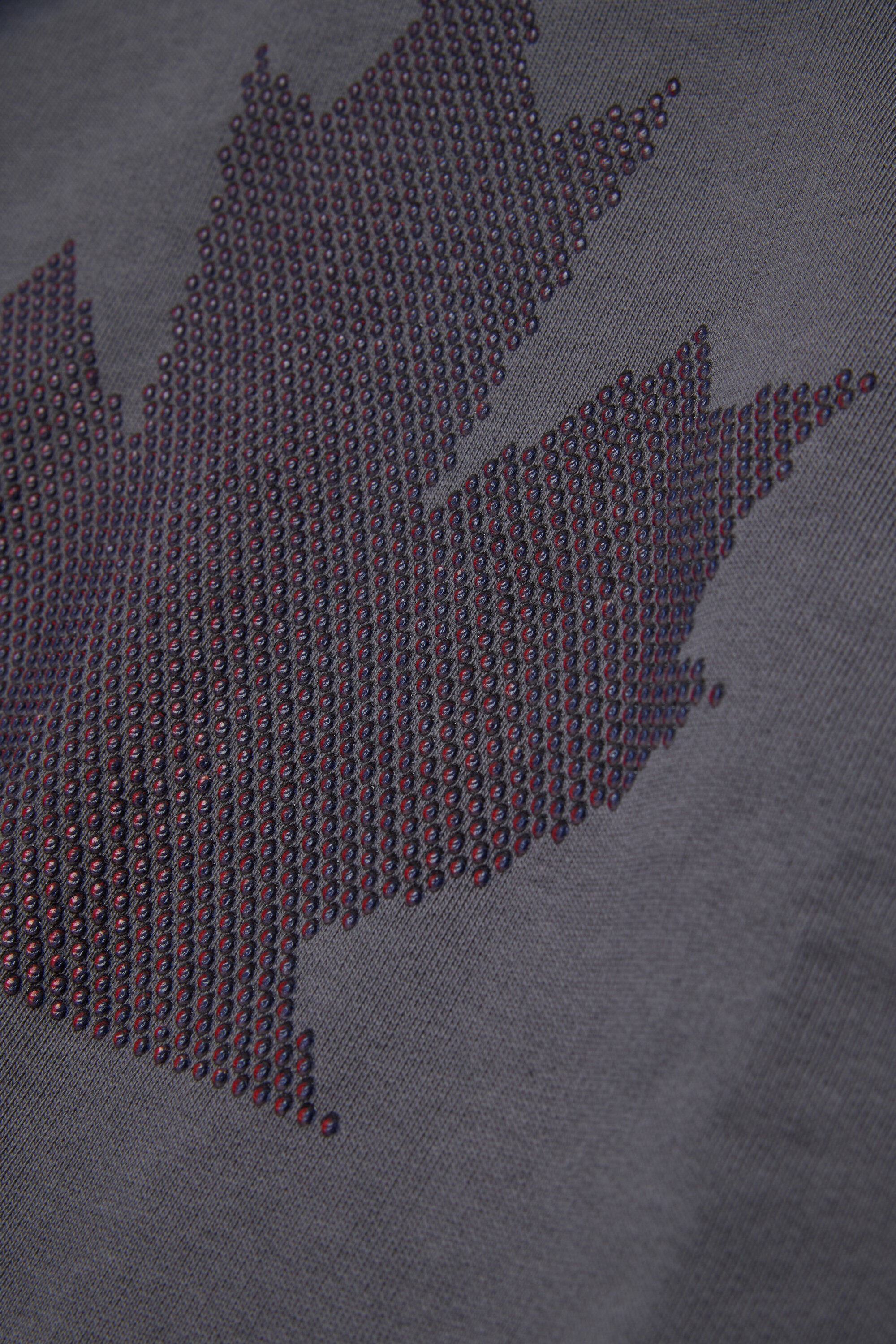 Hooded sweatshirt with logo