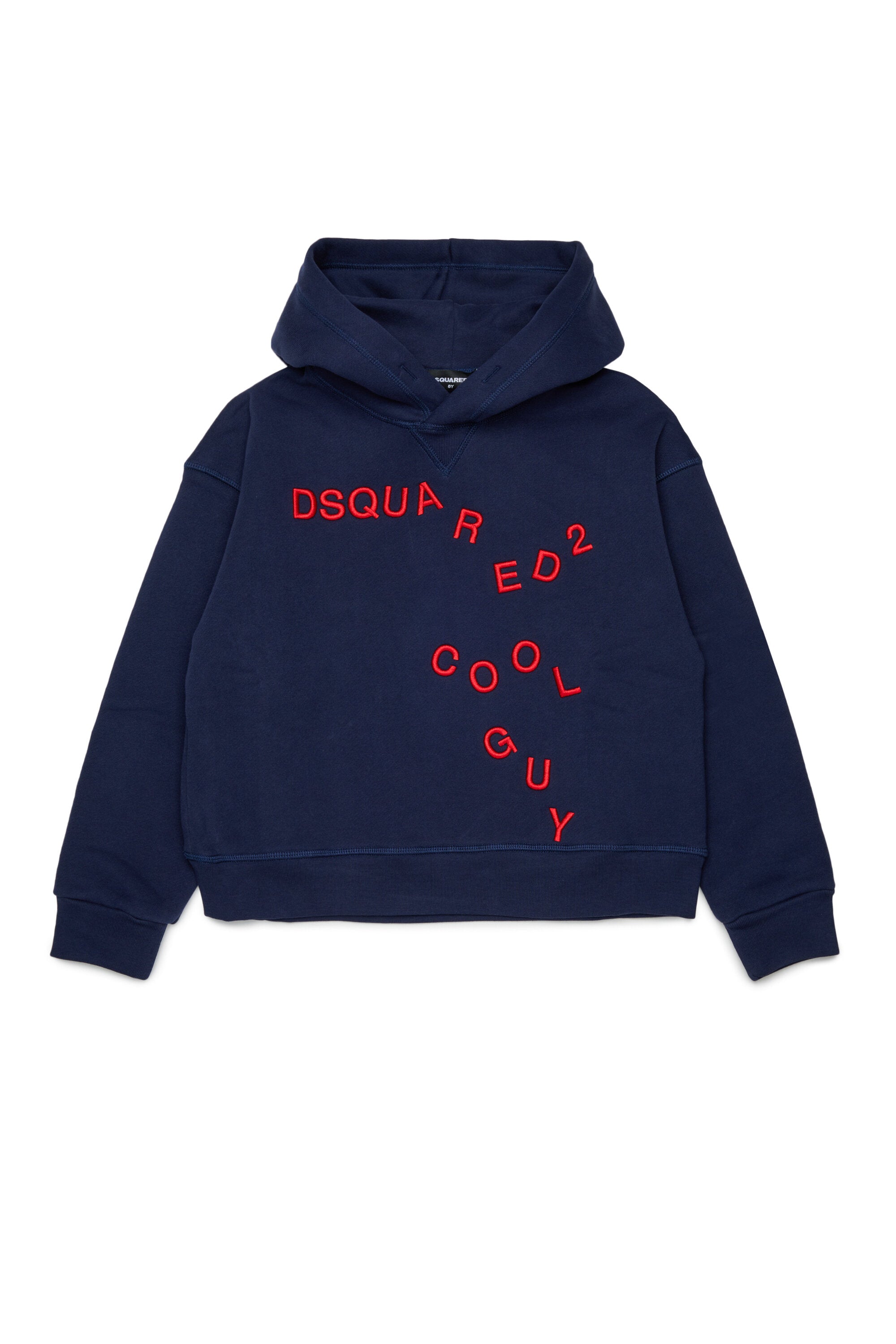 Hooded sweatshirt with logo