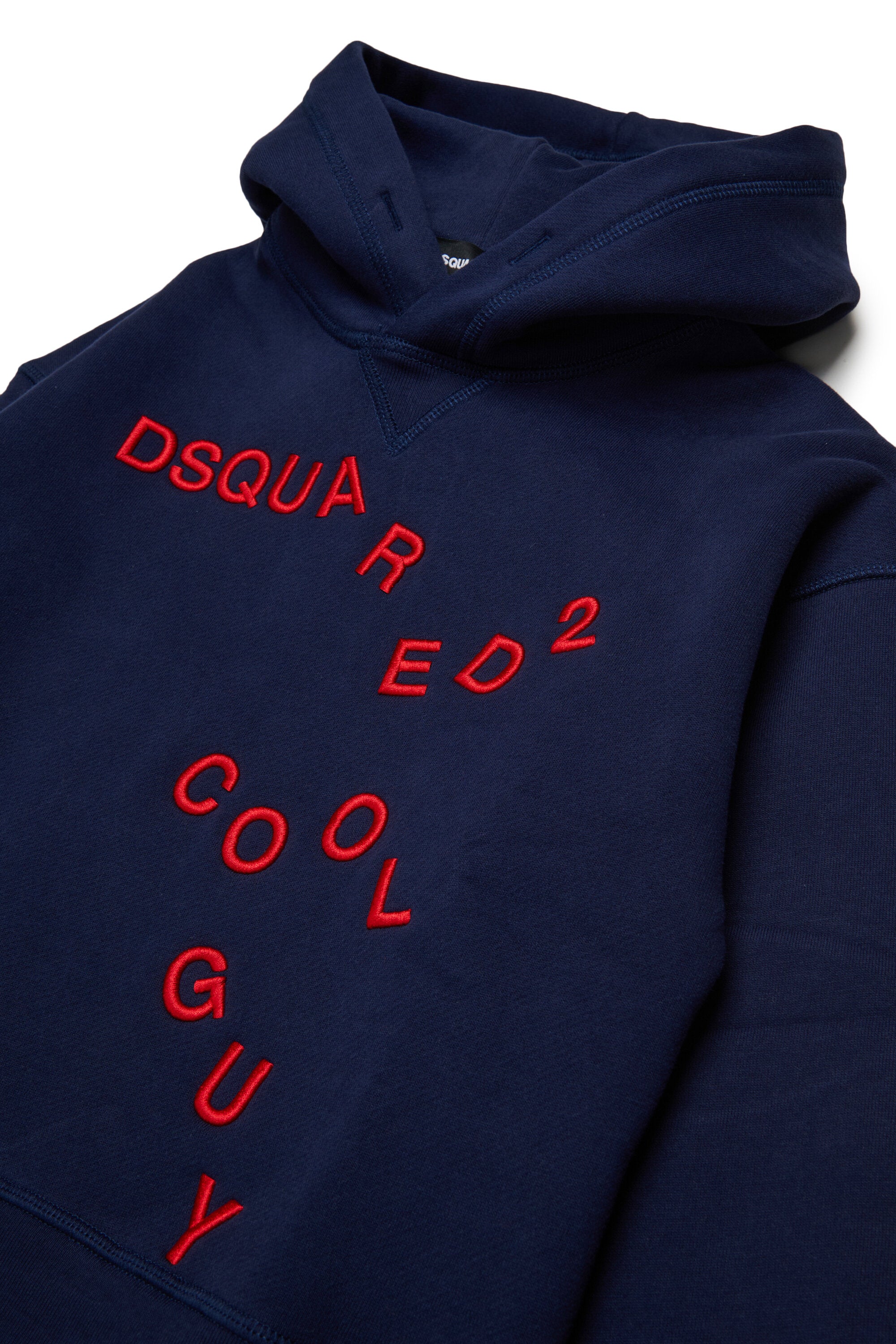 Hooded sweatshirt with logo