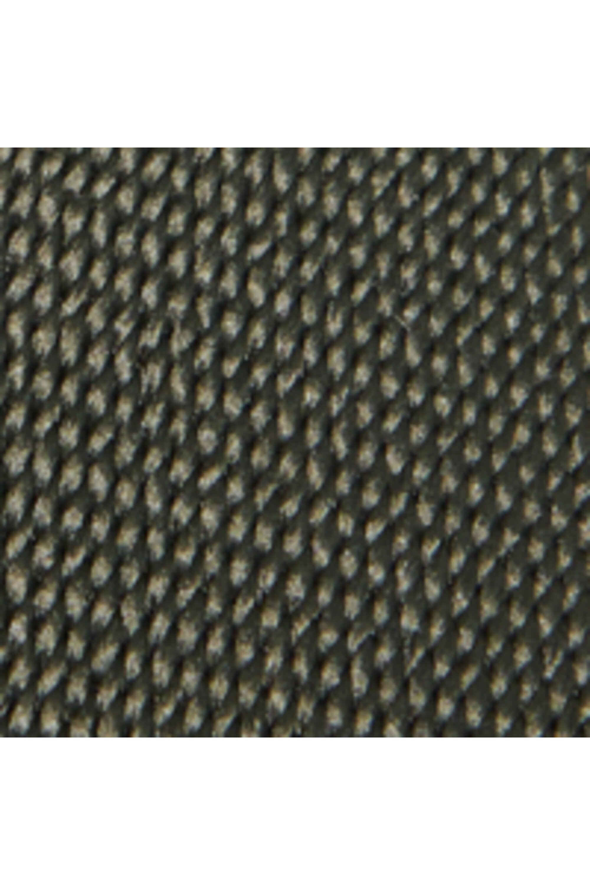 Oval D branded canvas belt