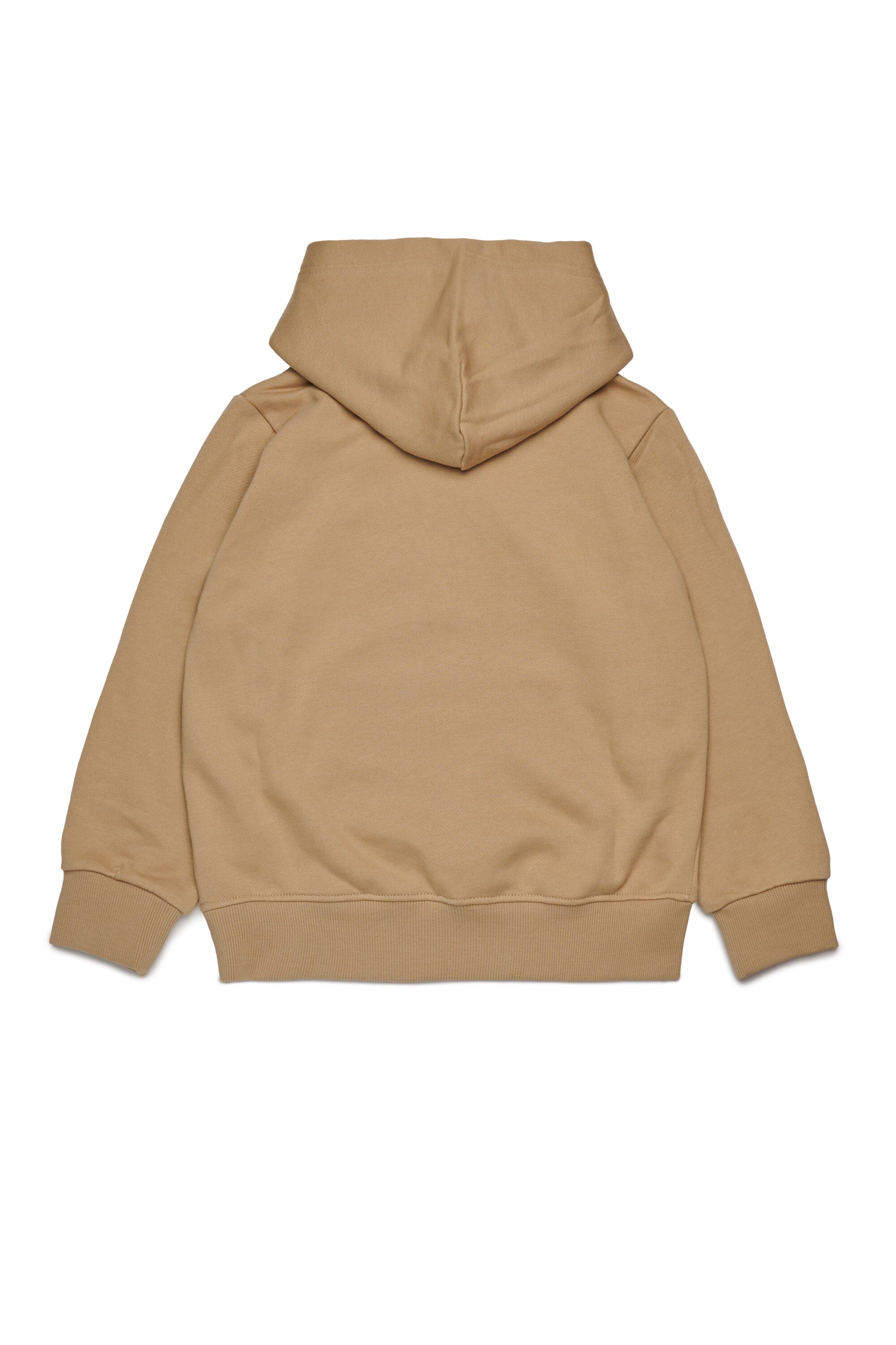 Hooded sweatshirt with Oval D two-color maxi logo