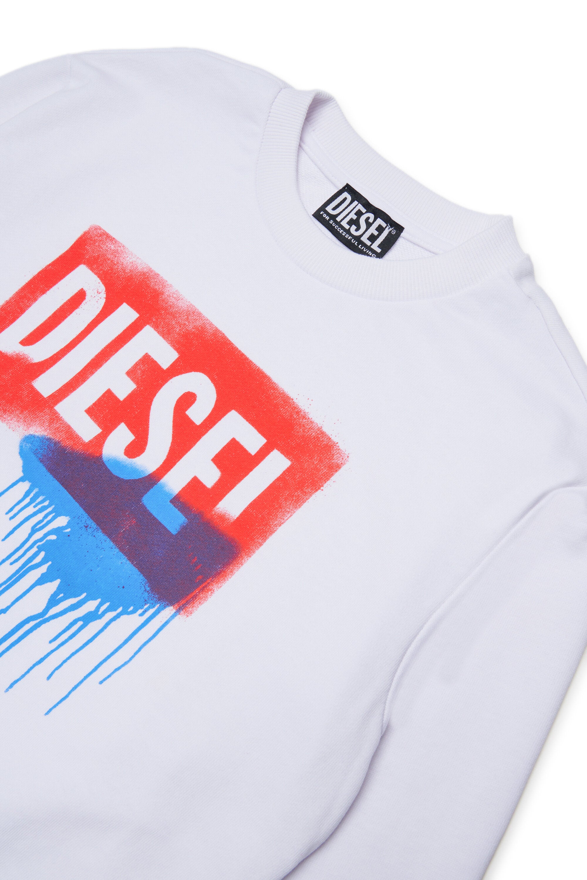 Crewneck sweatshirt with logo