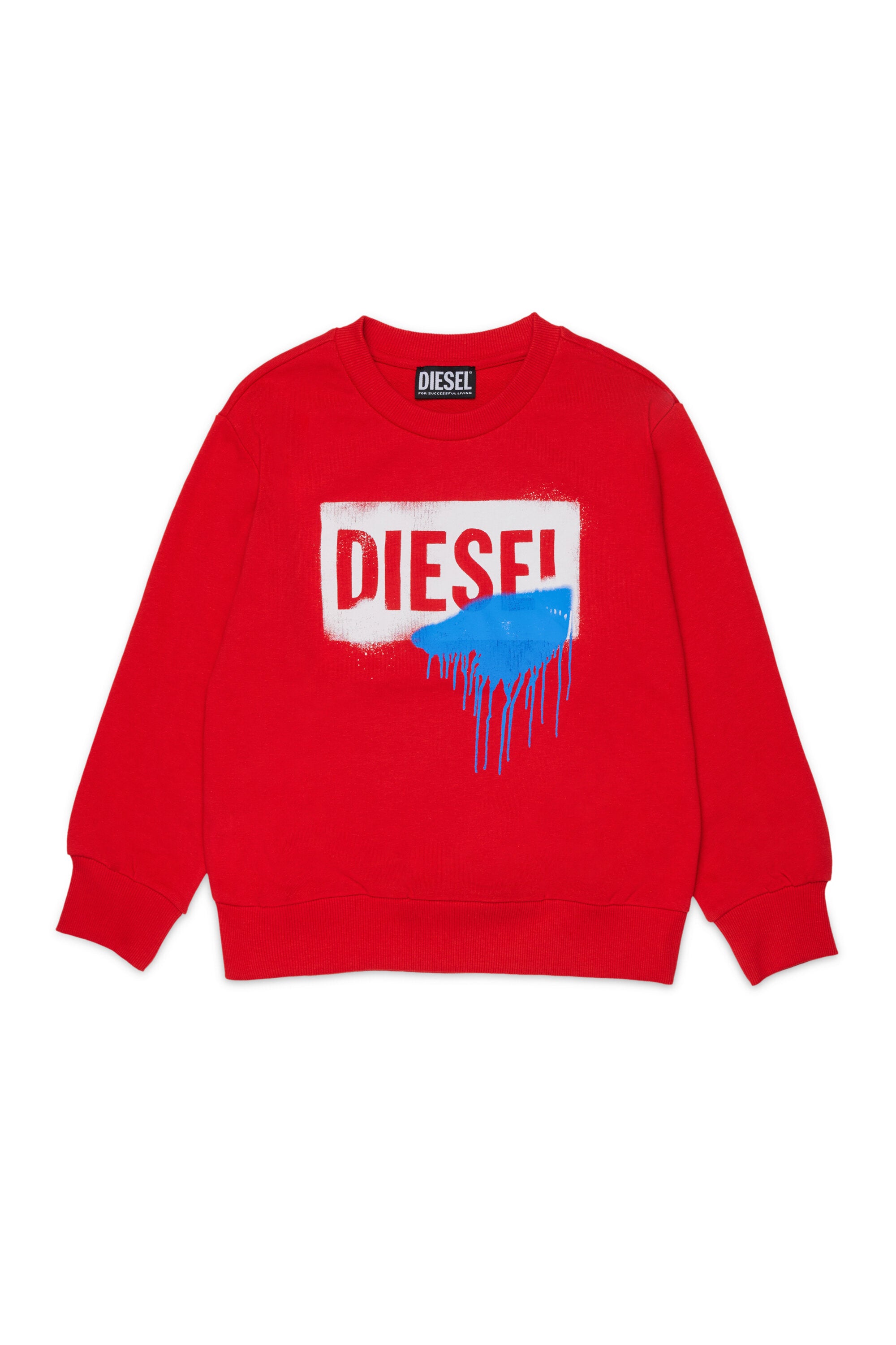 Crewneck sweatshirt with logo