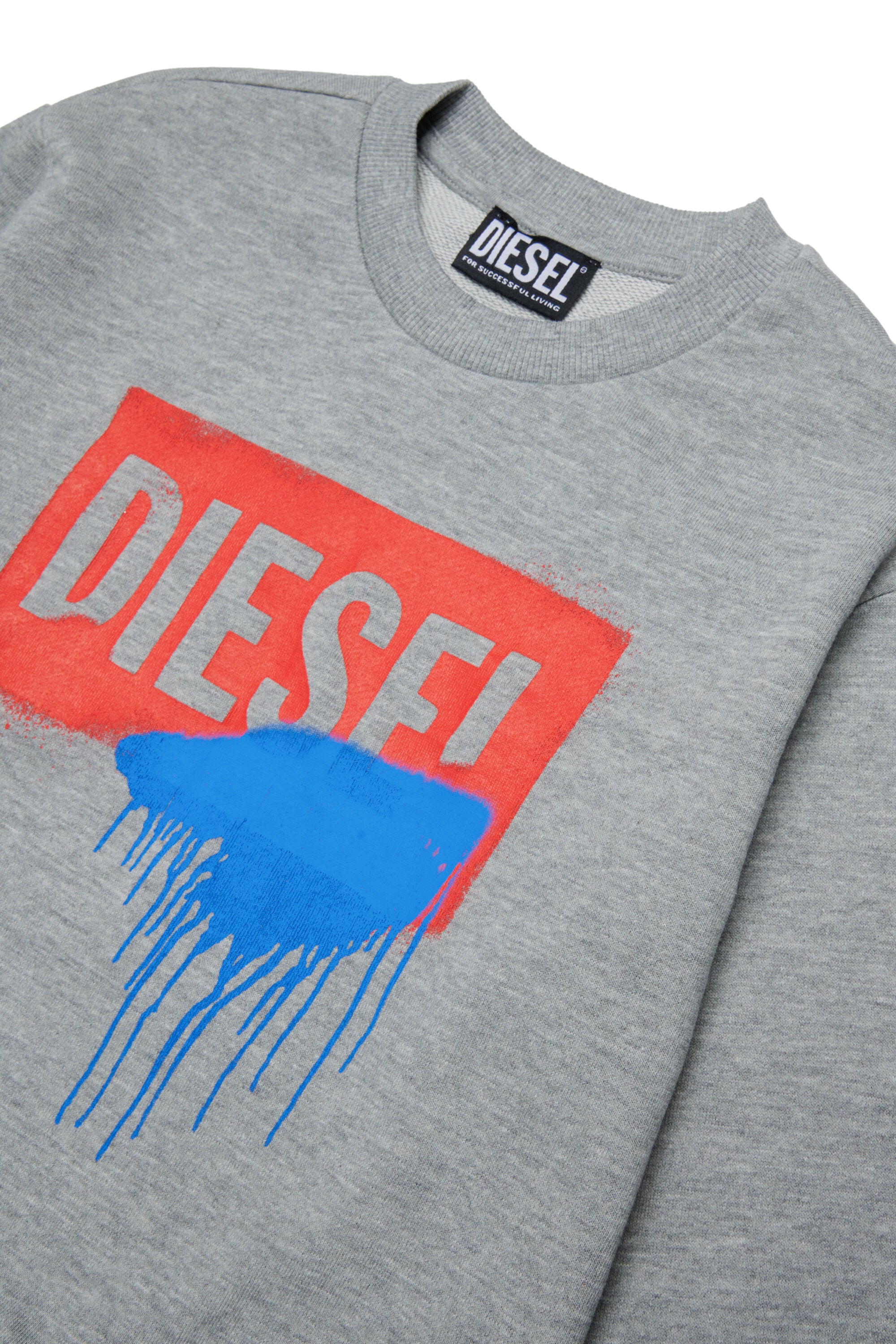 Crewneck sweatshirt with logo