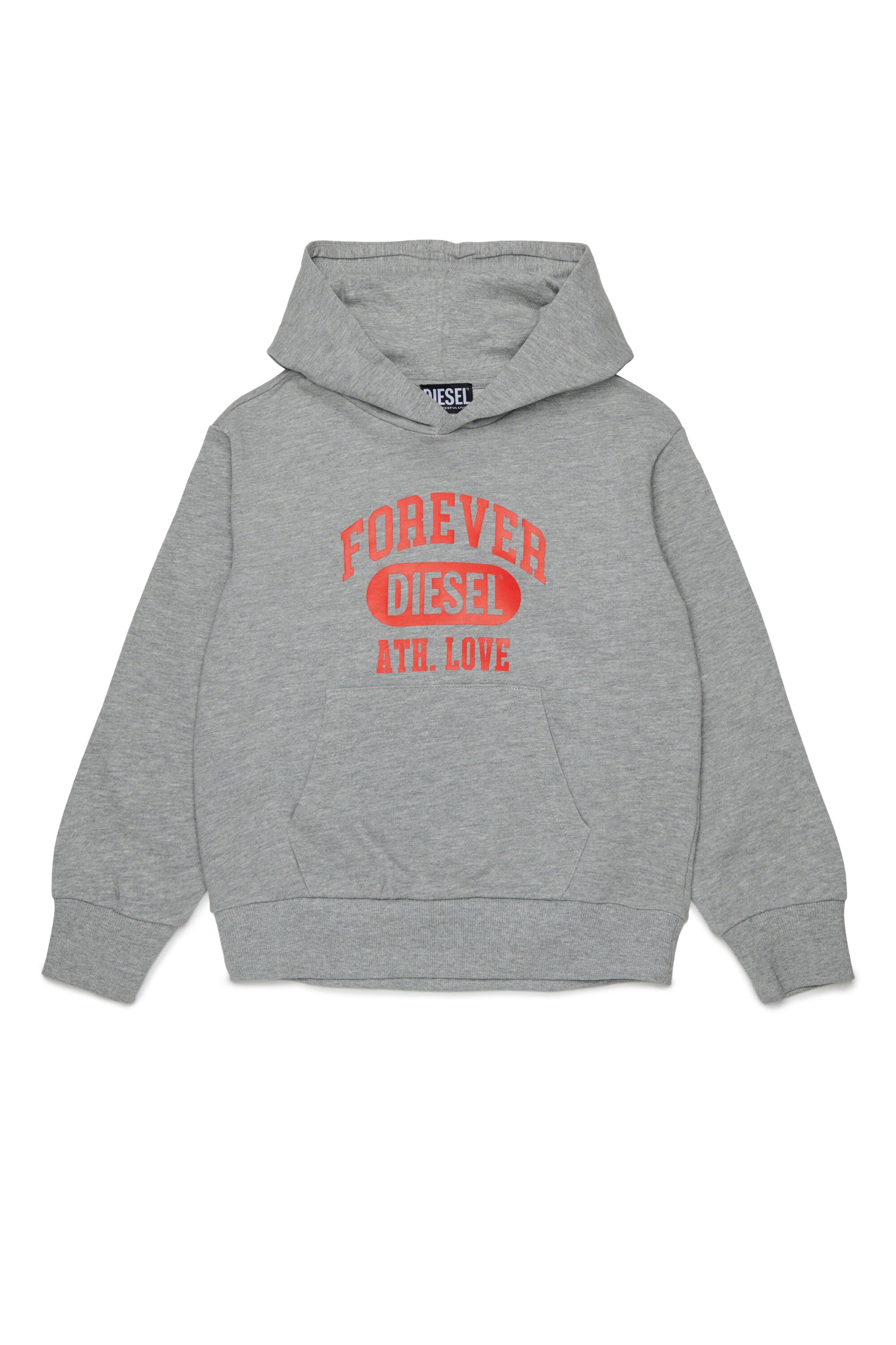 Hooded sweatshirt with logo