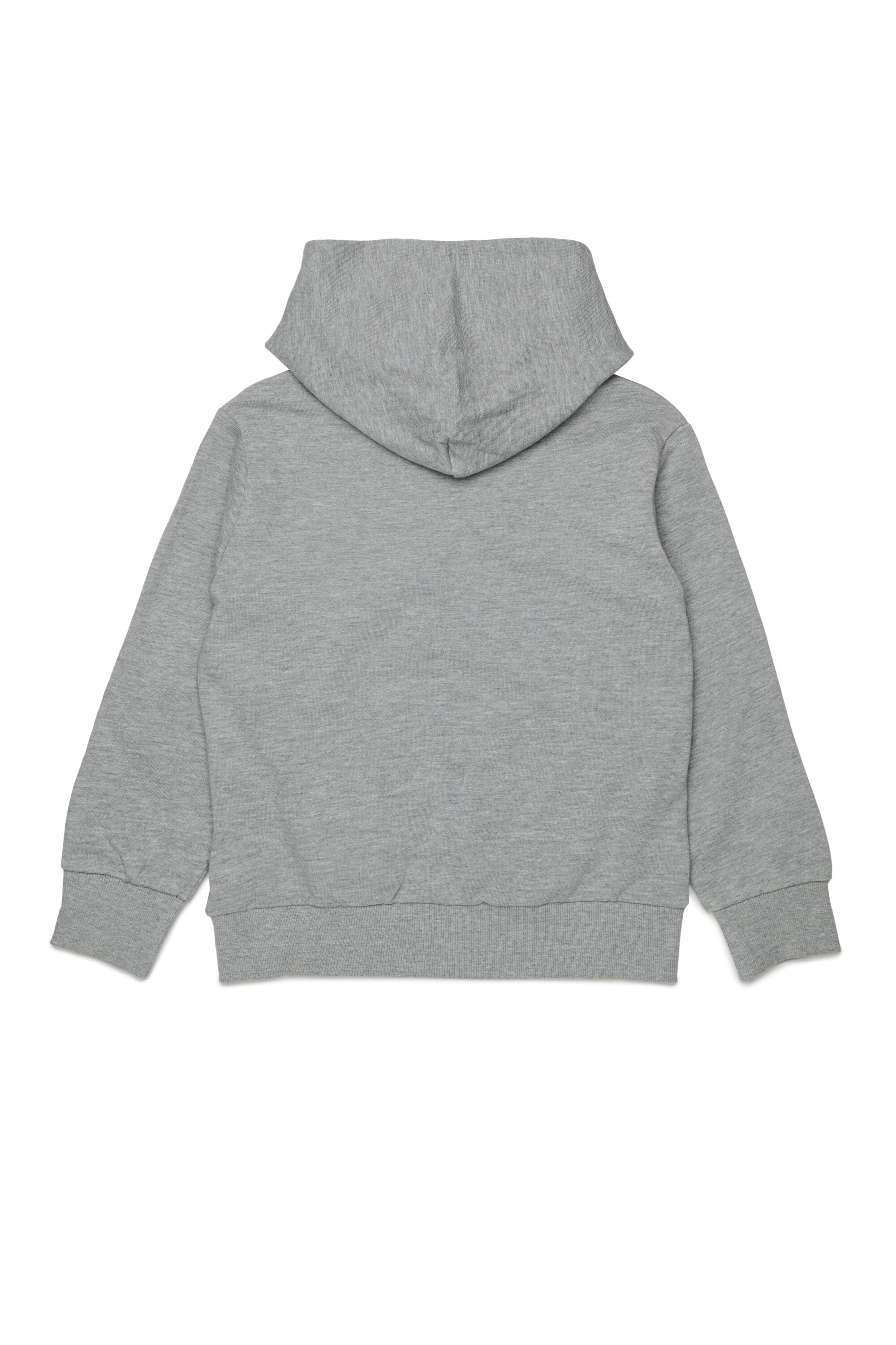Hooded sweatshirt with logo