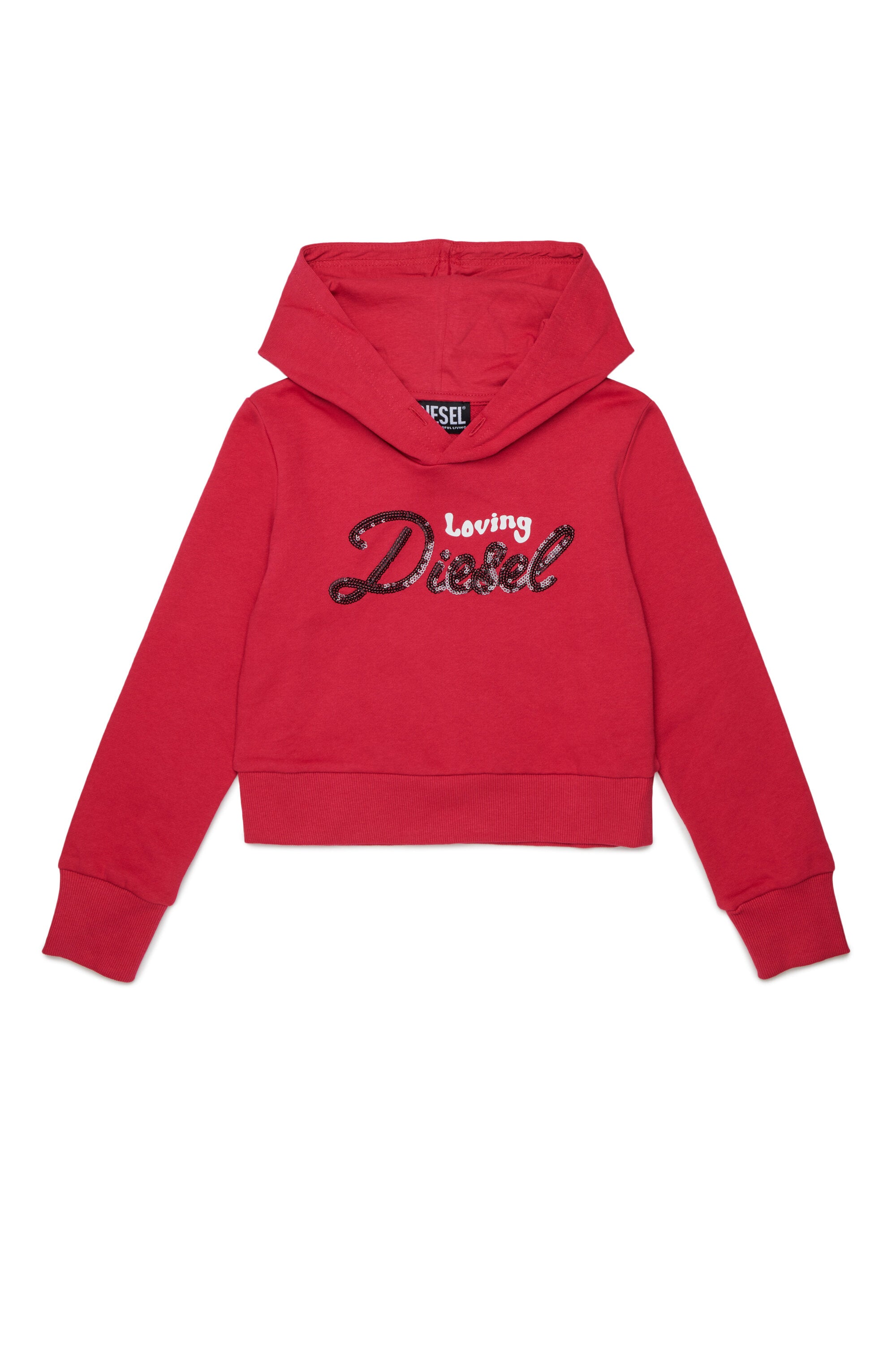 Hooded sweatshirt with logo