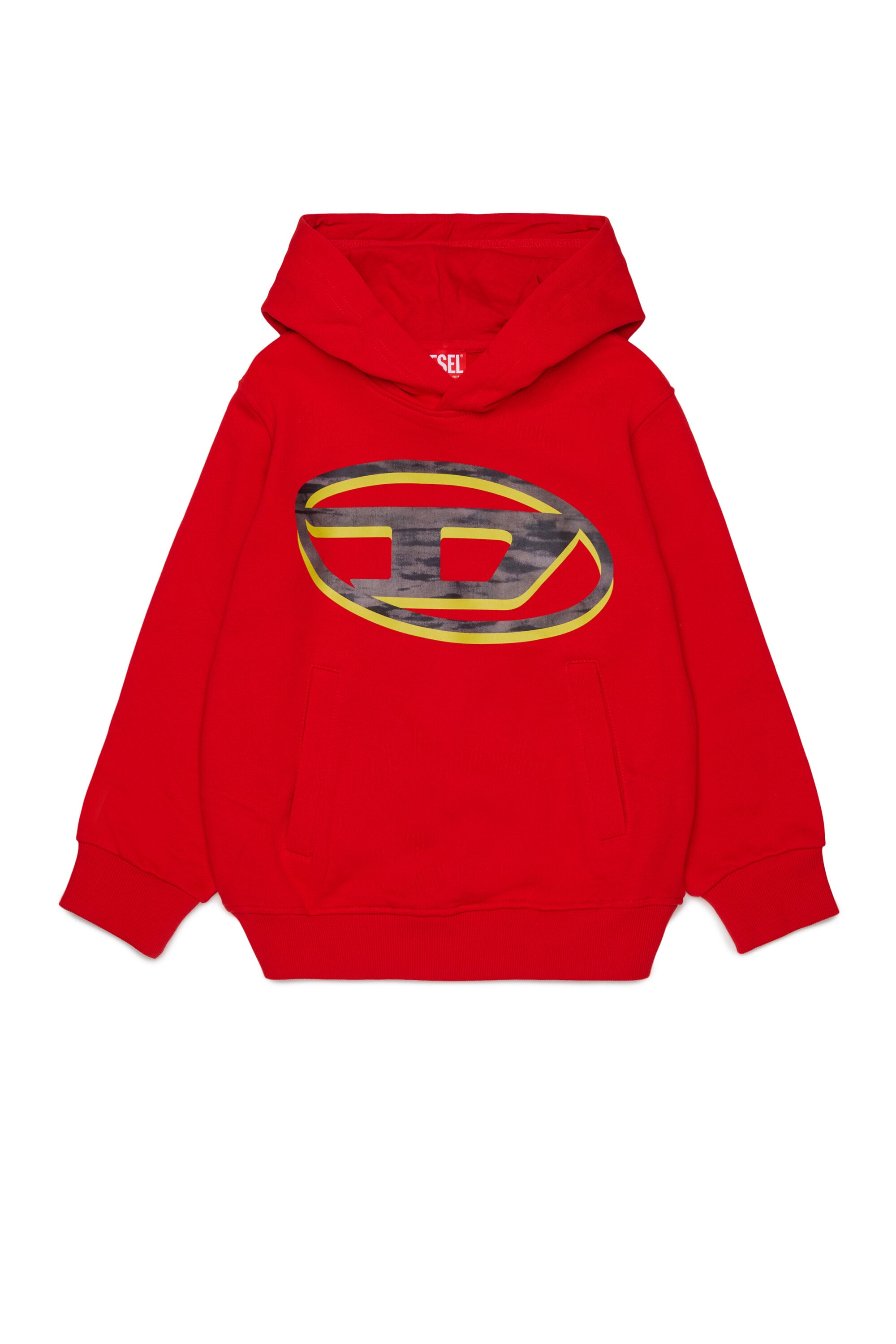 Hooded sweatshirt with logo