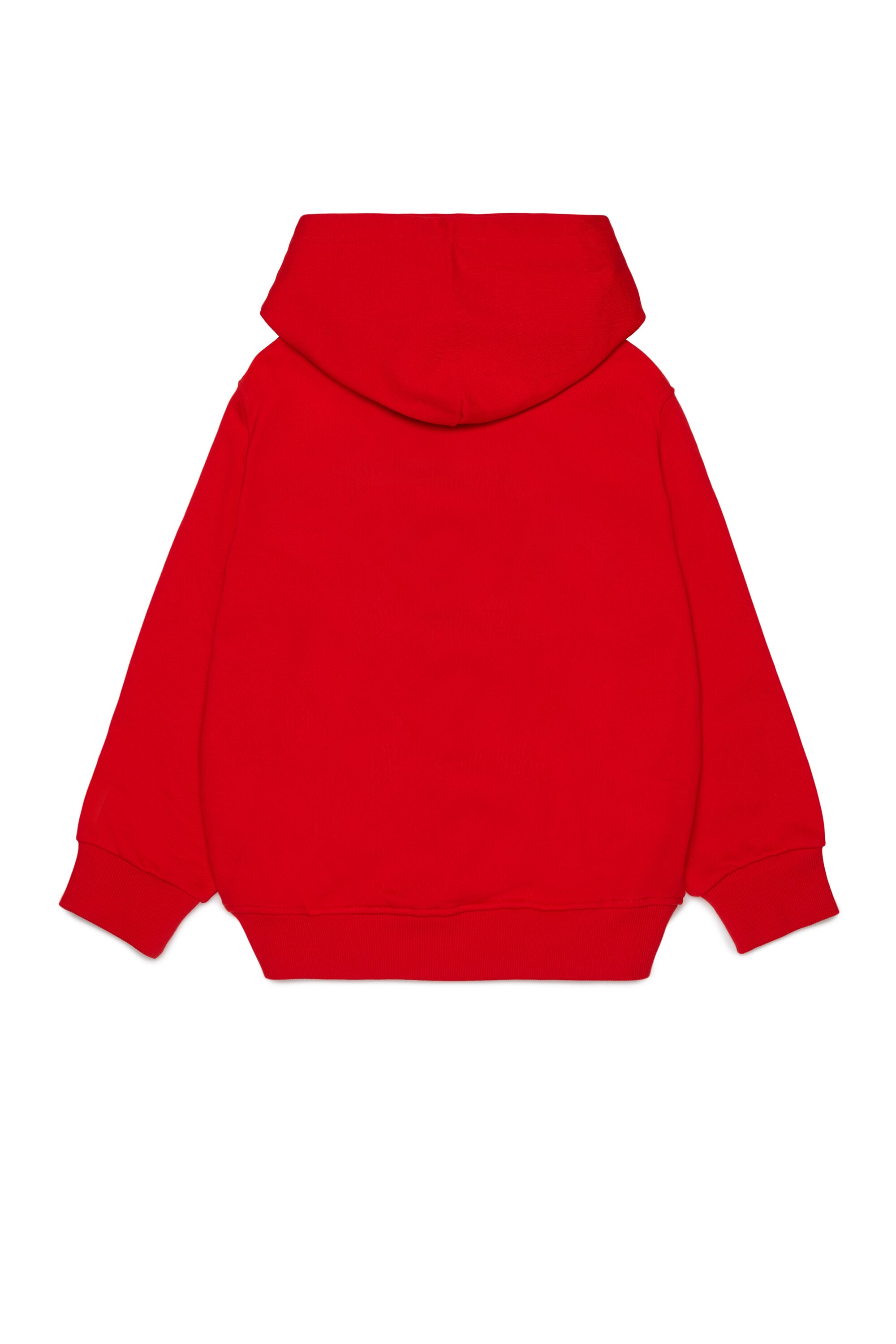 Hooded sweatshirt with logo