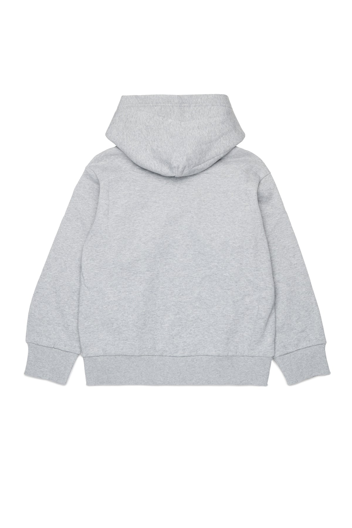 Hooded sweatshirt with logo
