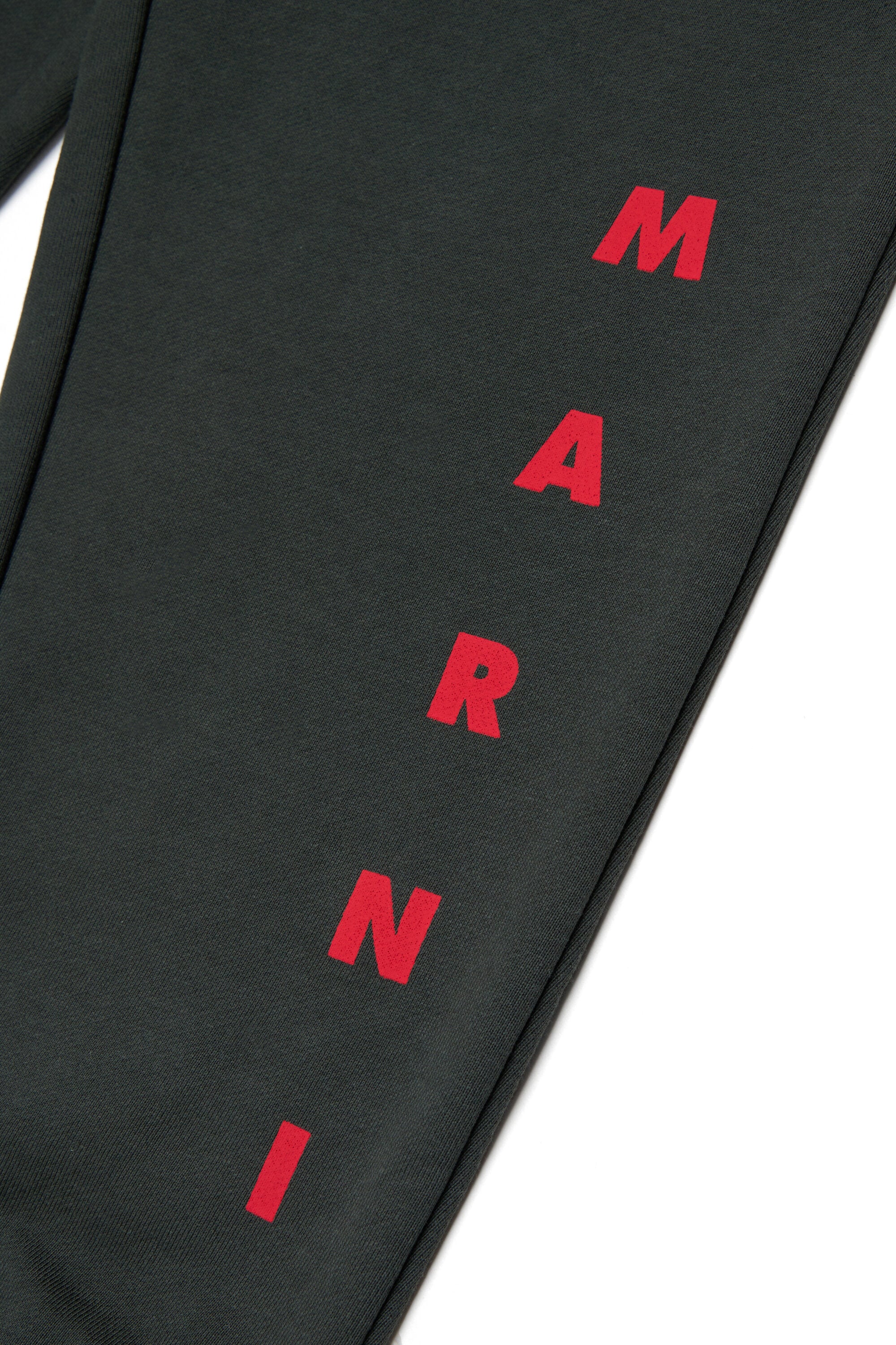 Fleece jogger pants with logo