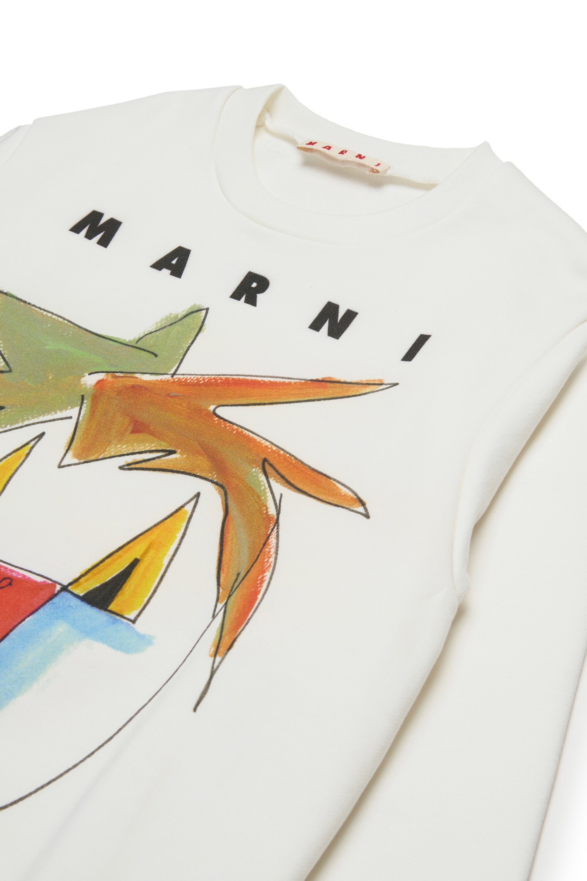 Crew-neck sweatshirt with Jungle graphics