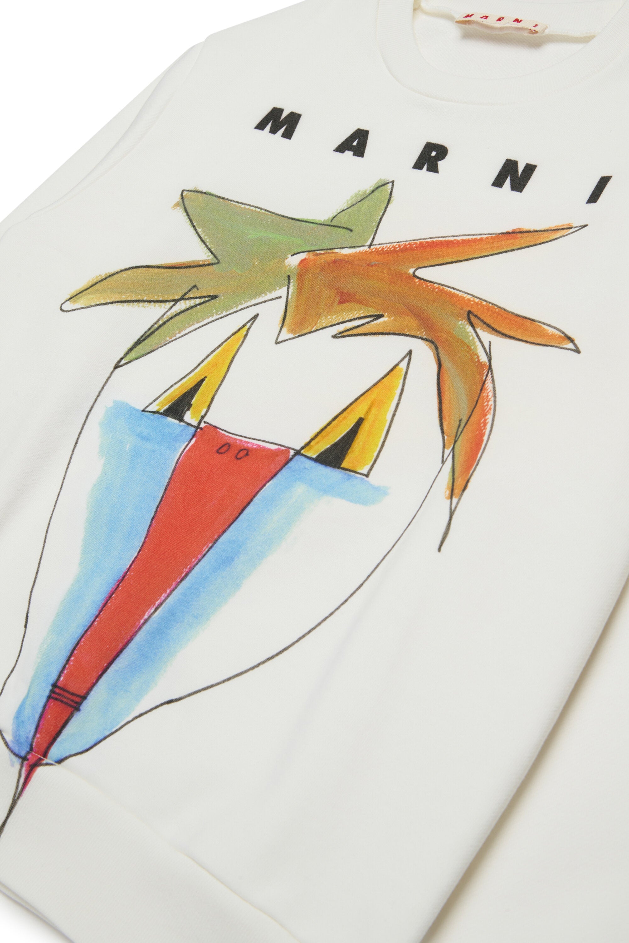 Crew-neck sweatshirt with Jungle graphics