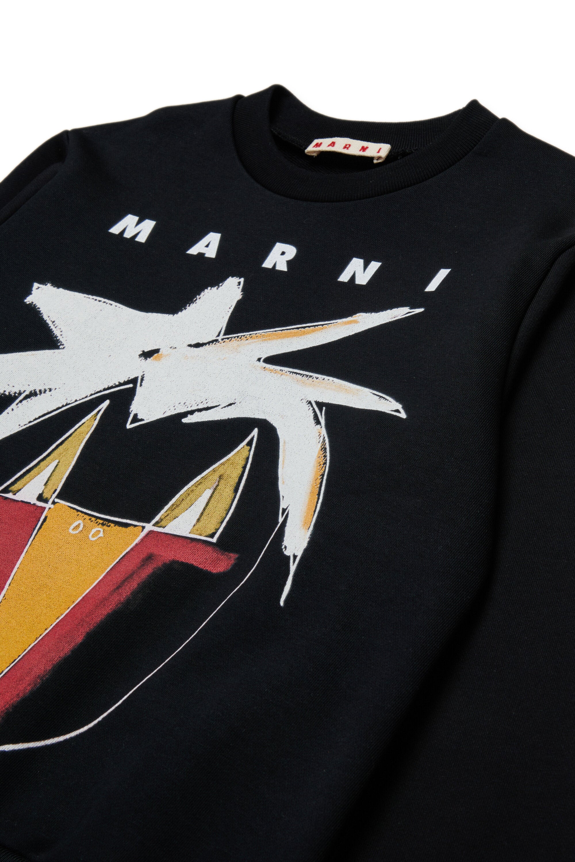 Crew-neck sweatshirt with Jungle graphics