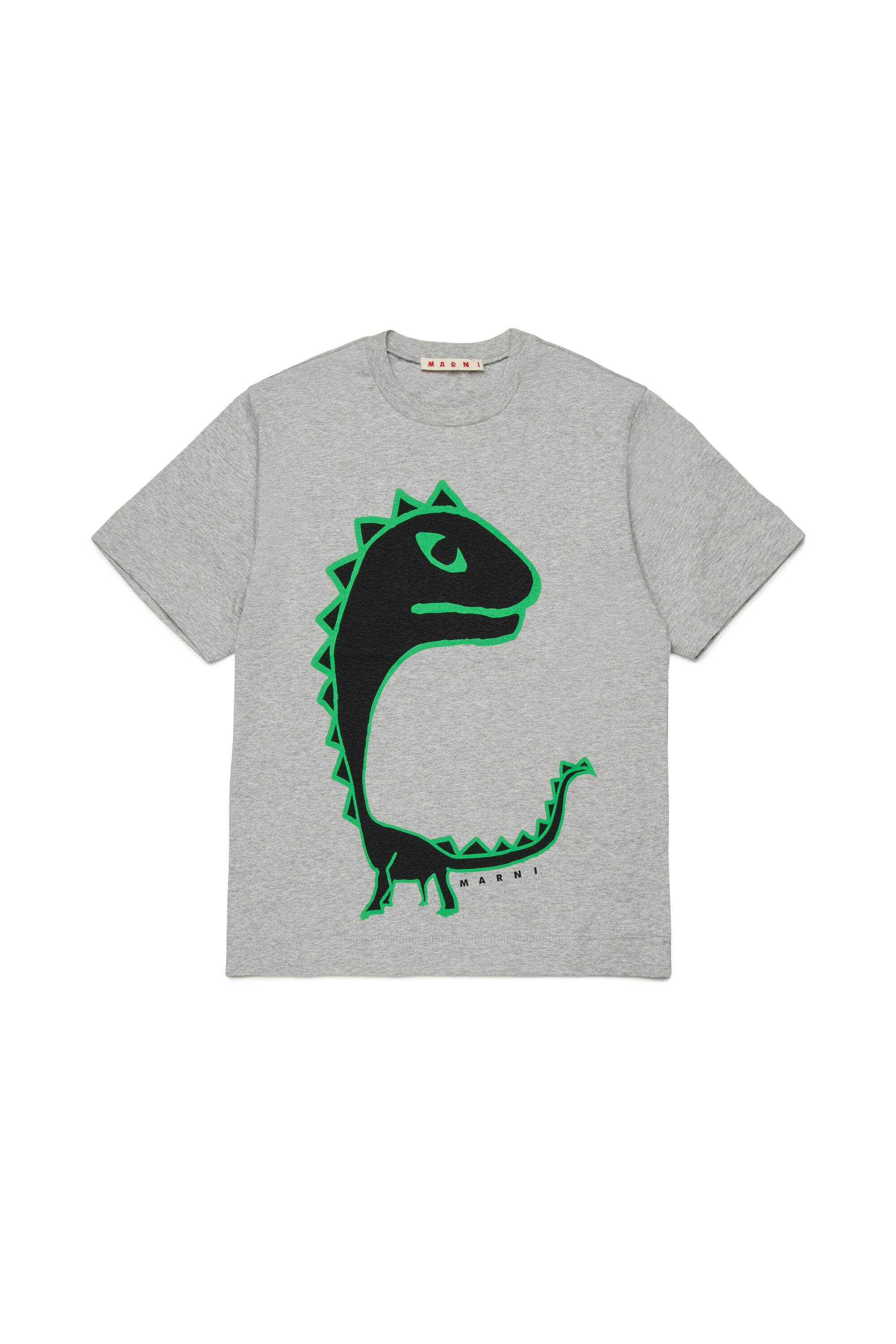 T-shirt with dinosaur print