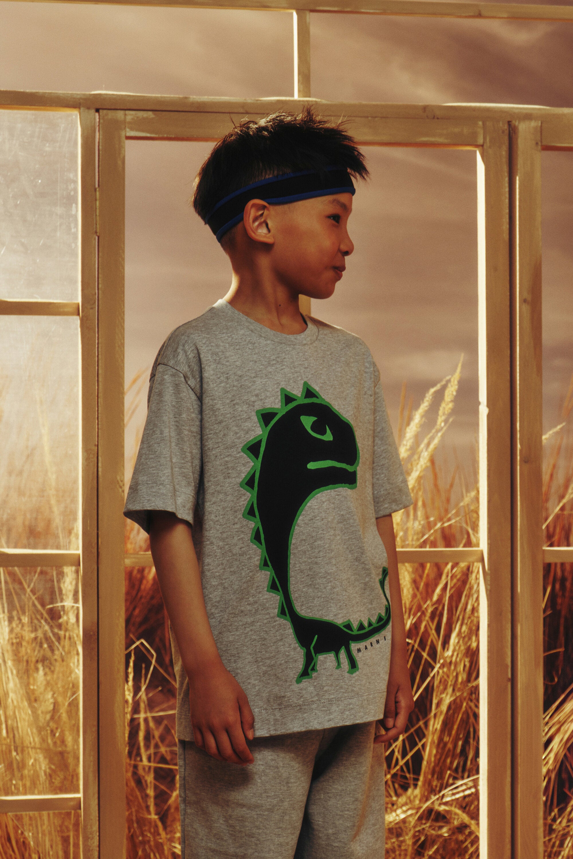 T-shirt with dinosaur print