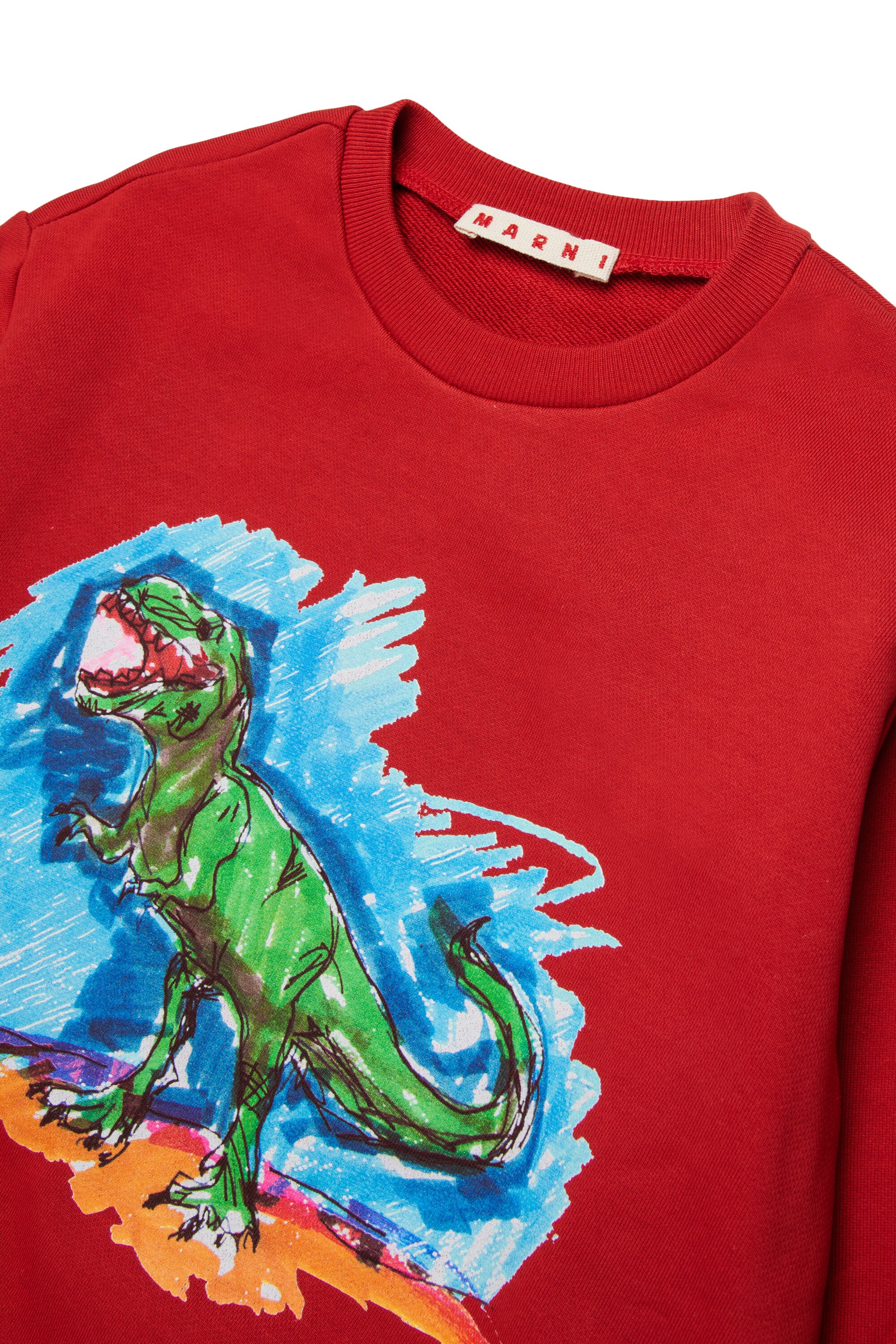 Crewneck sweatshirt with Jurassic World-themed logo