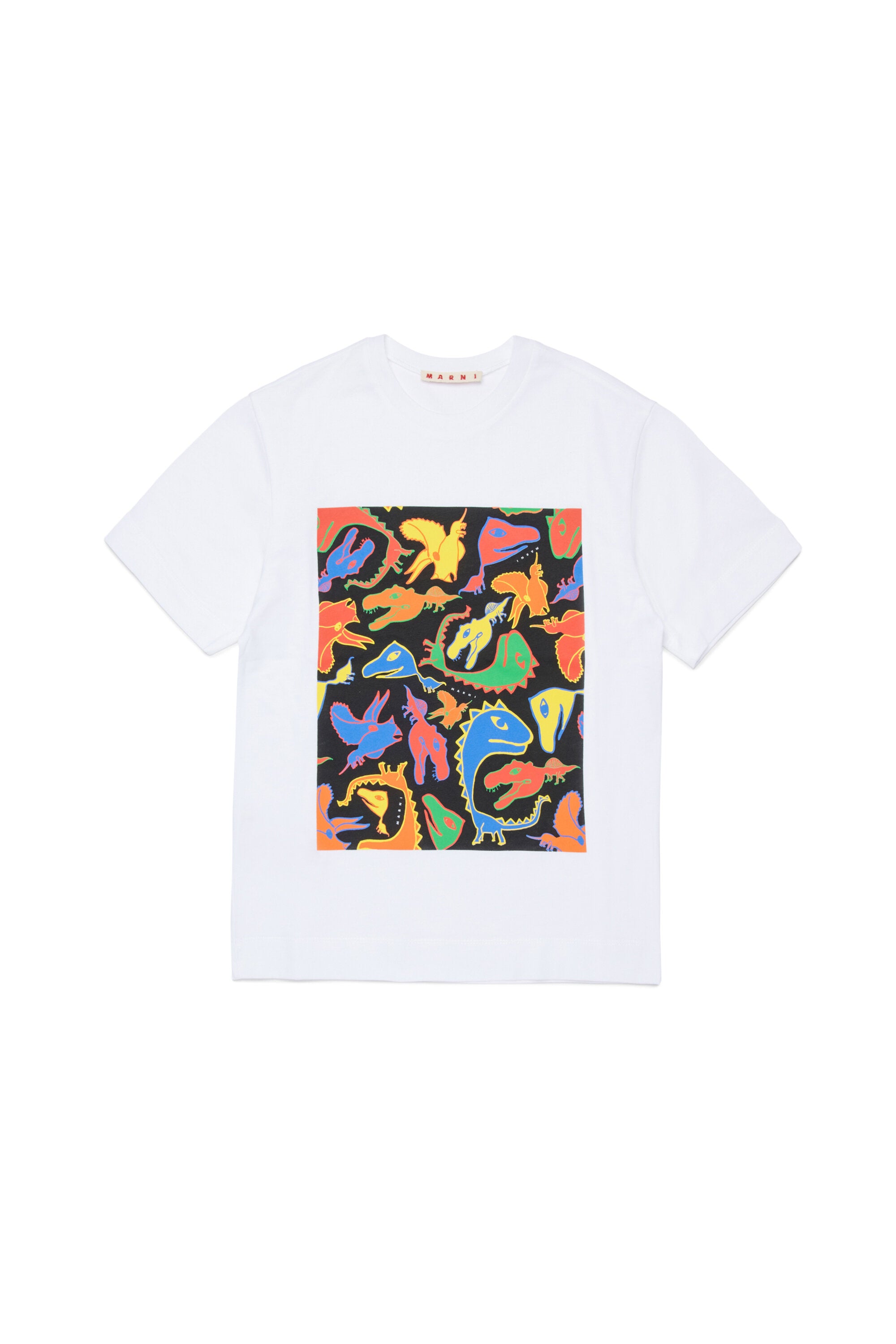 T-shirt with multicolor dinosaur print