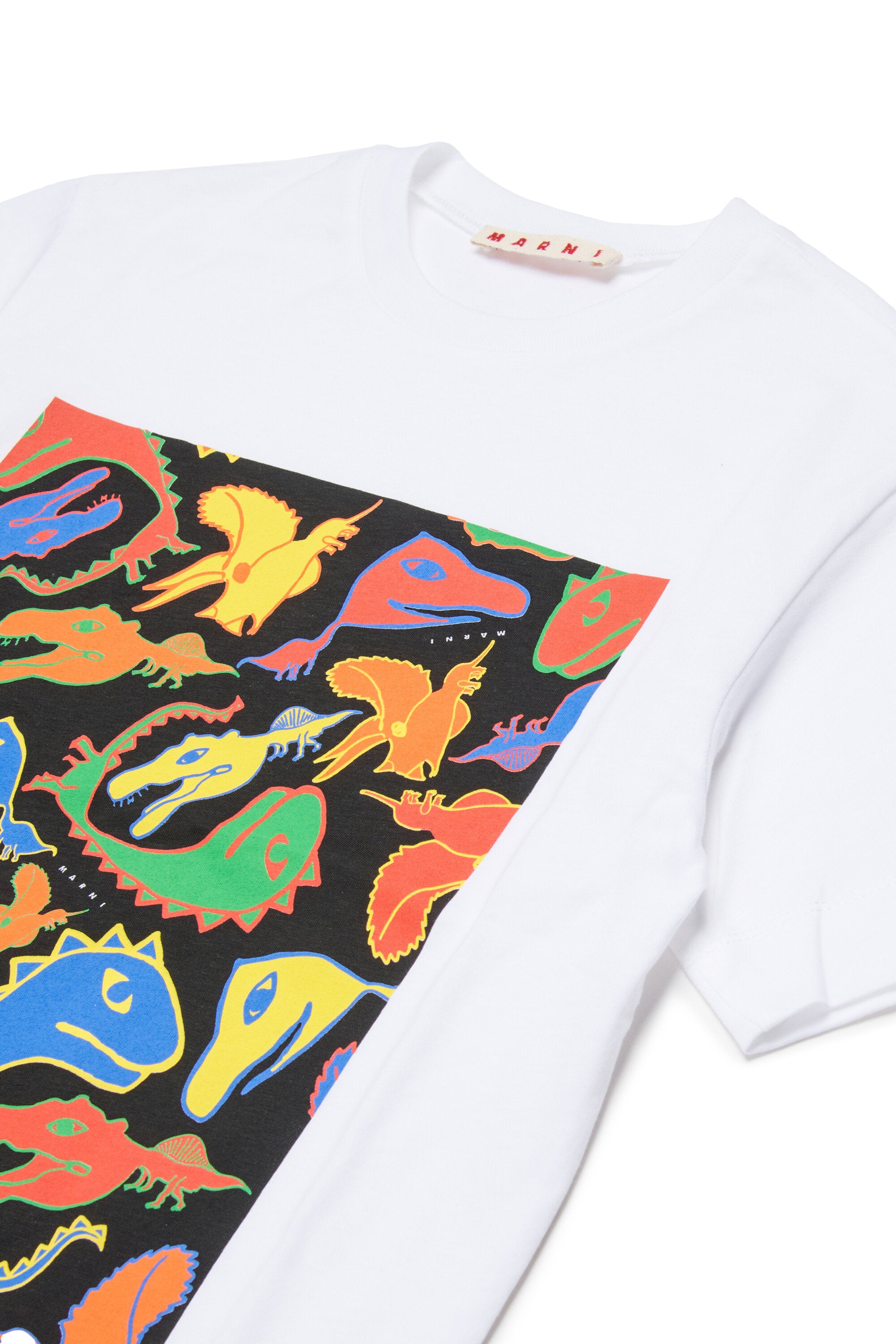 T-shirt with multicolor dinosaur print