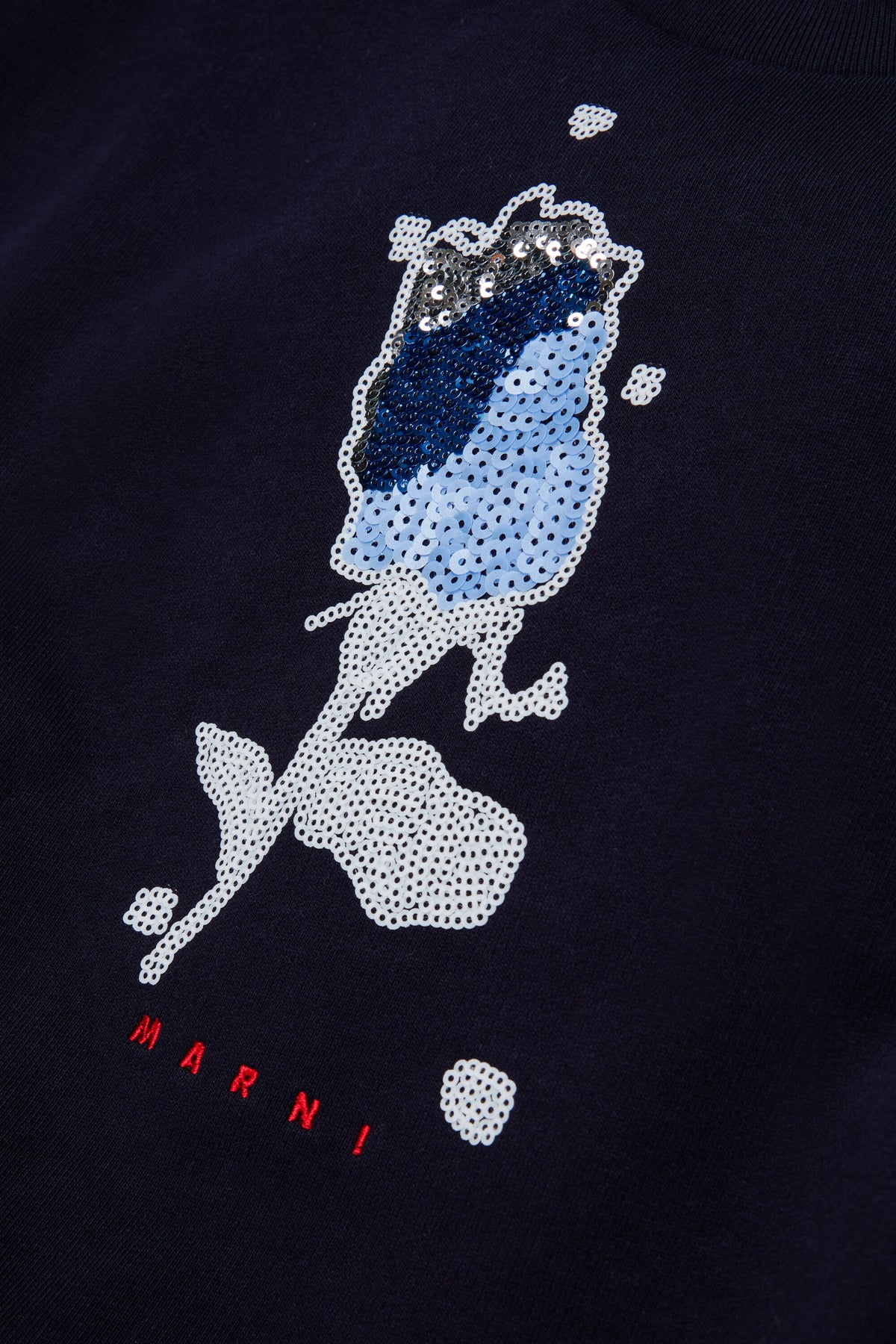Crewneck sweatshirt with logo