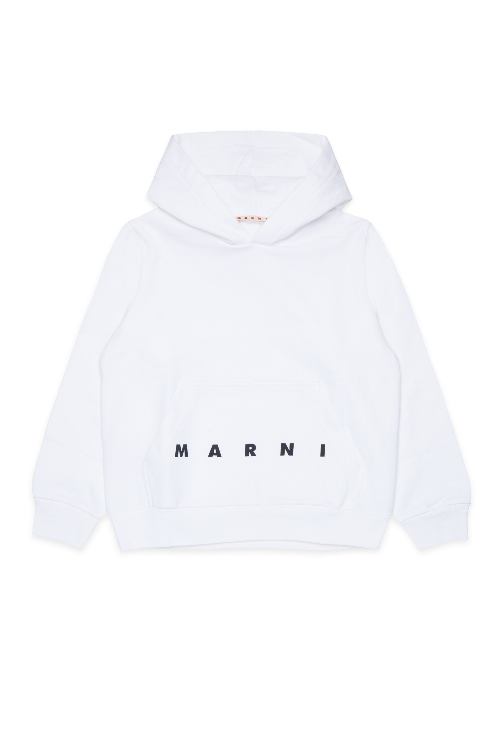 Hooded sweatshirt with logo