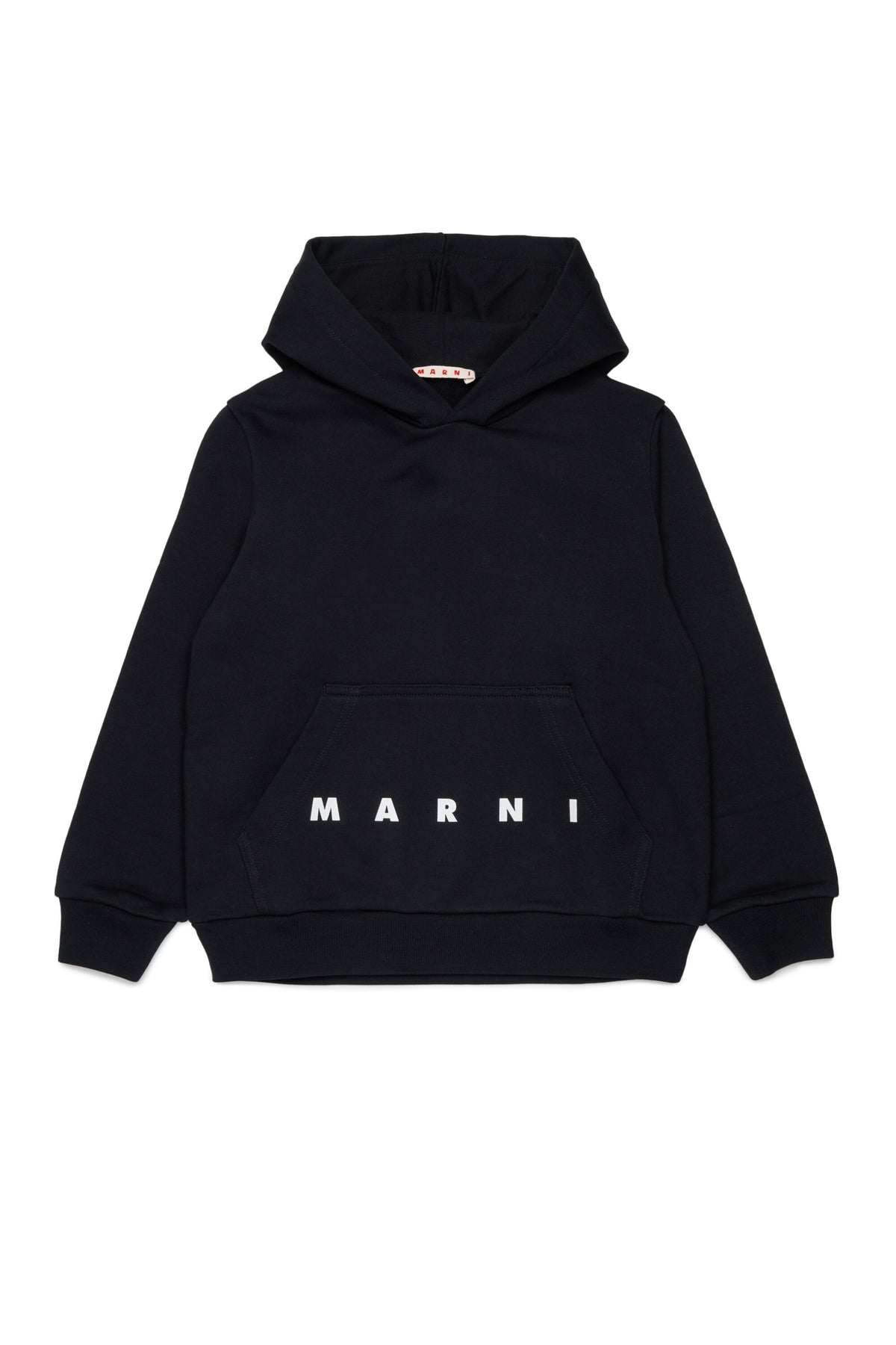 Hooded sweatshirt with logo