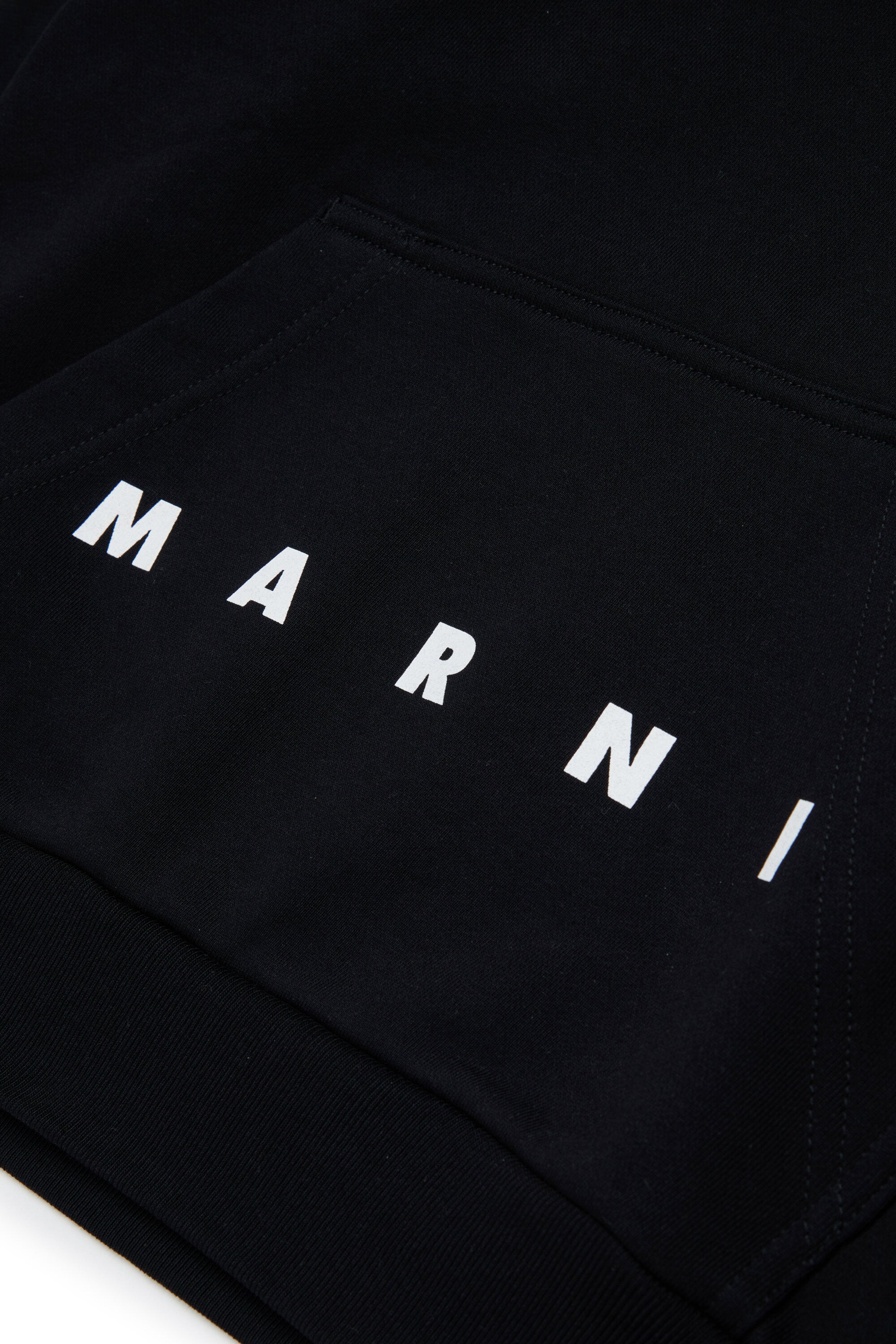 Hooded sweatshirt with logo