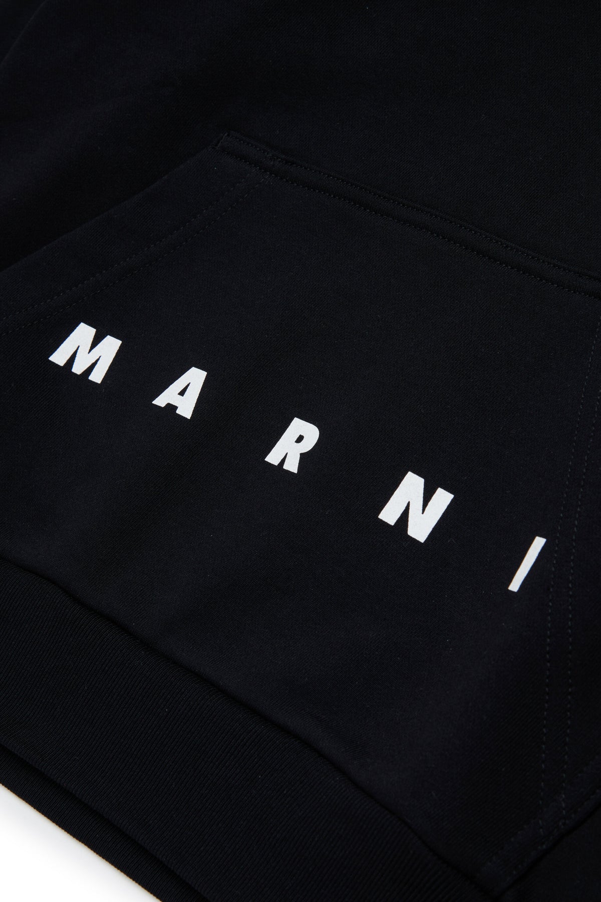 Hooded sweatshirt with logo