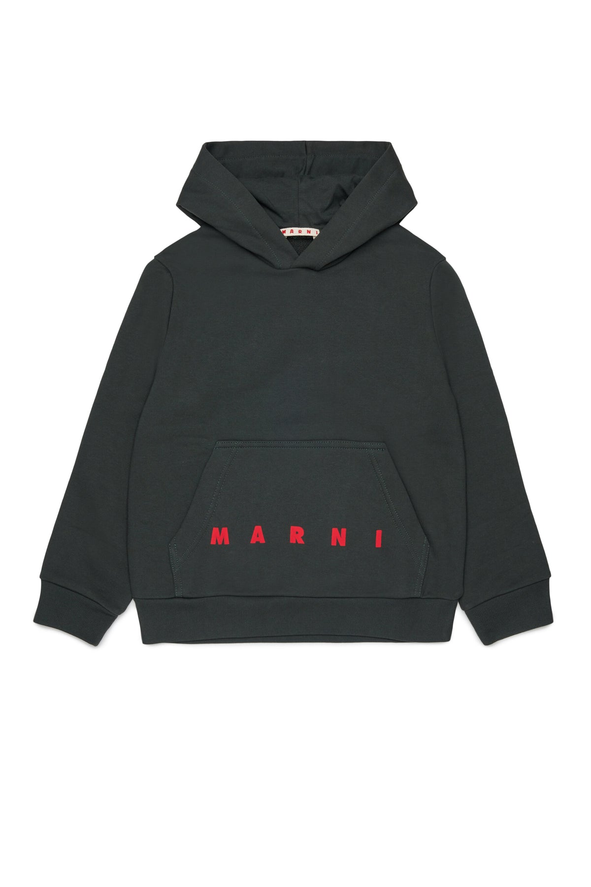 Hooded sweatshirt with logo