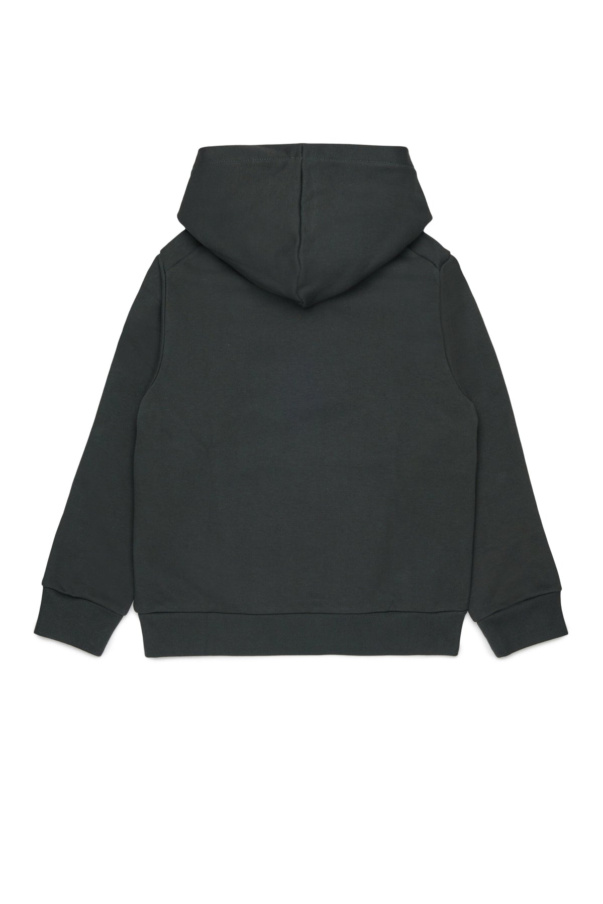 Hooded sweatshirt with logo
