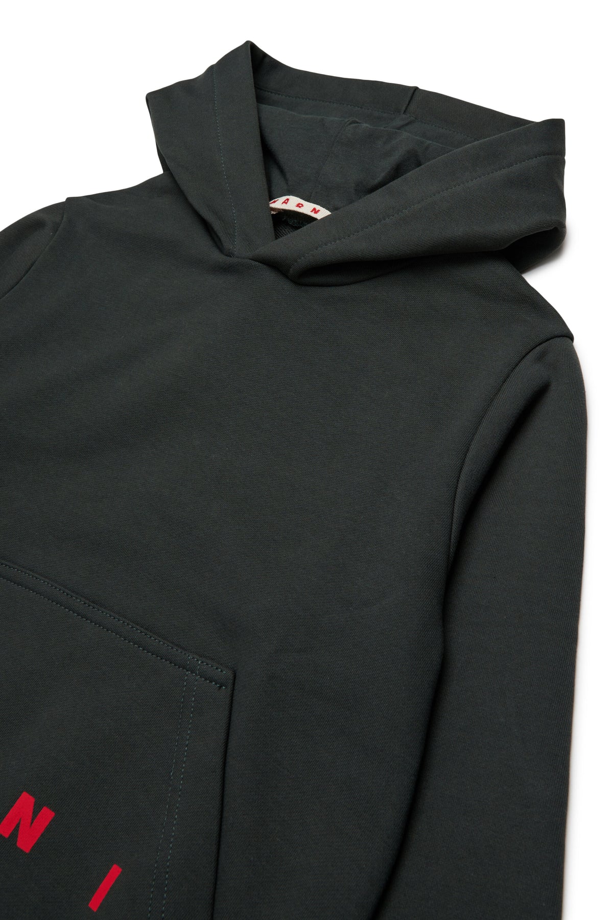 Hooded sweatshirt with logo