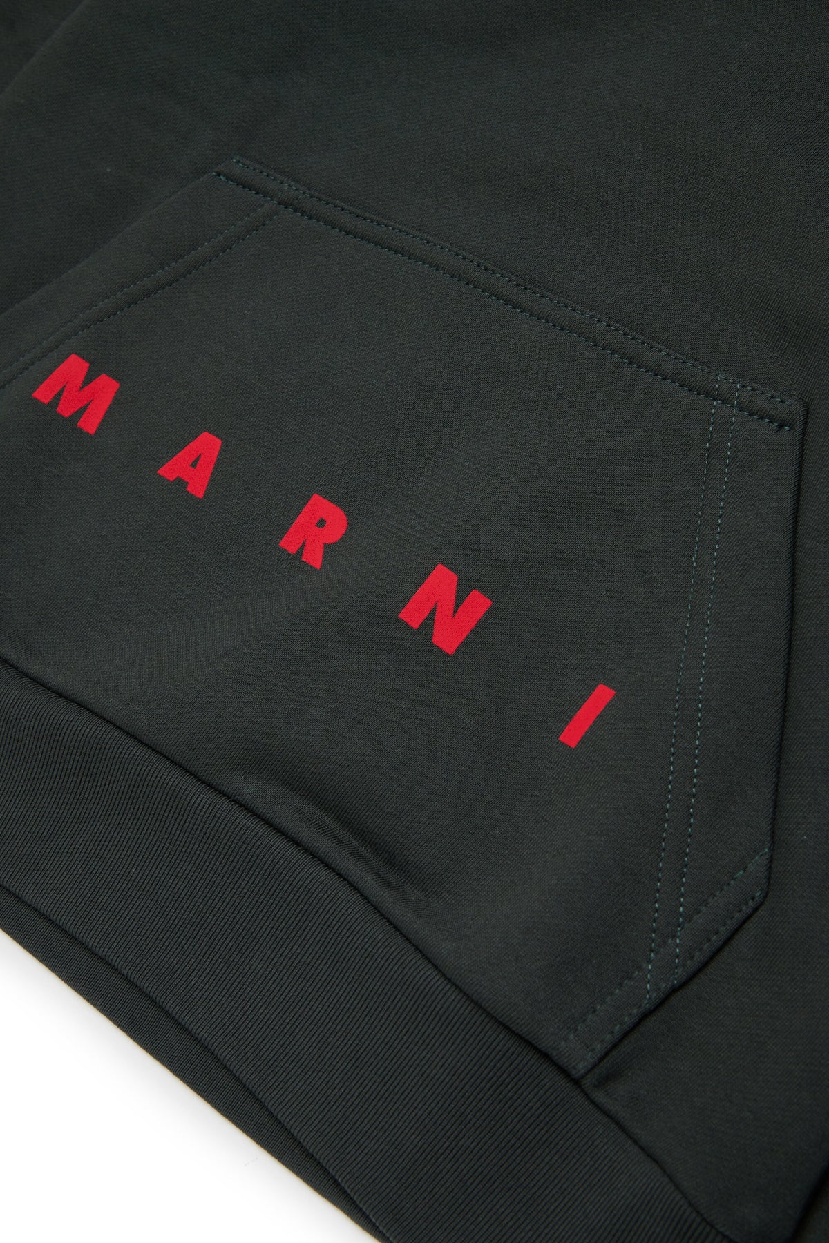 Hooded sweatshirt with logo