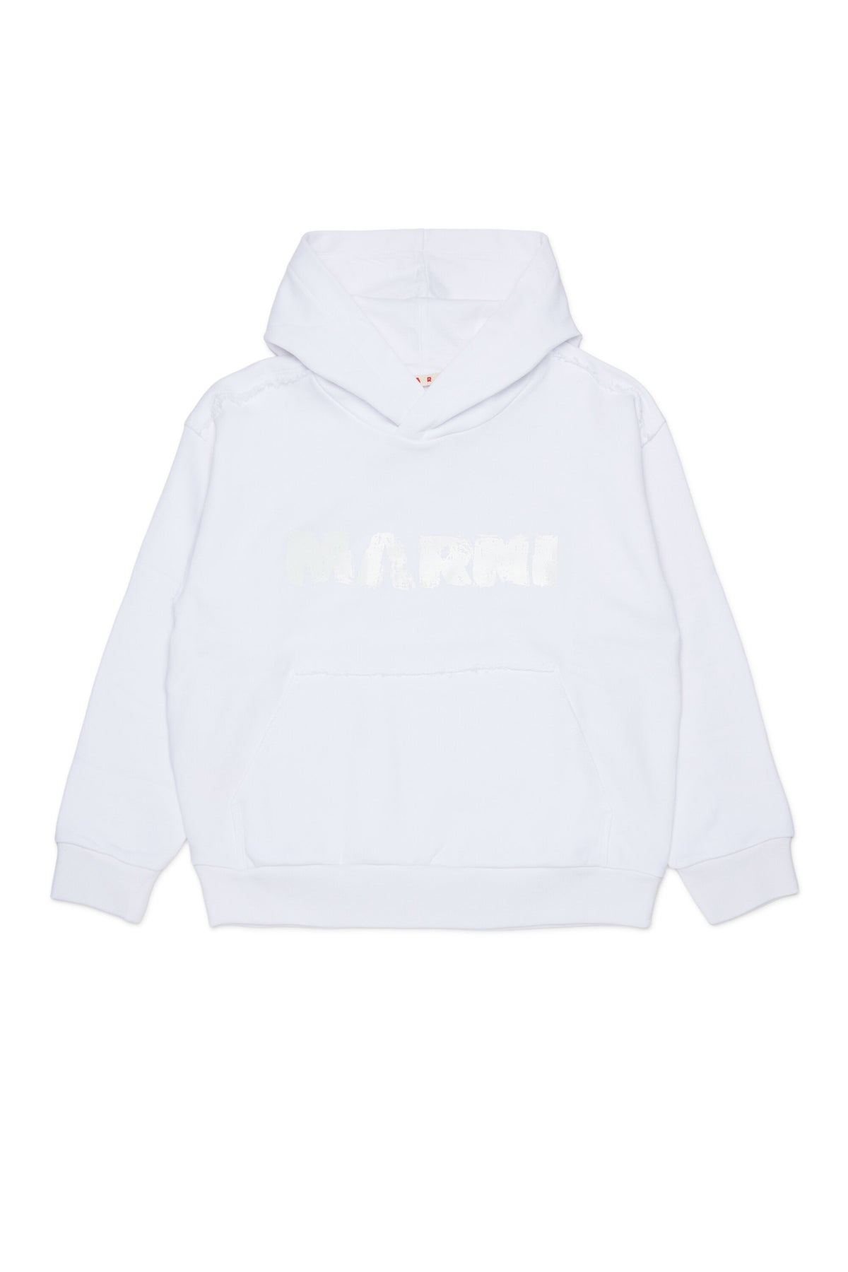 Hooded sweatshirt with logo