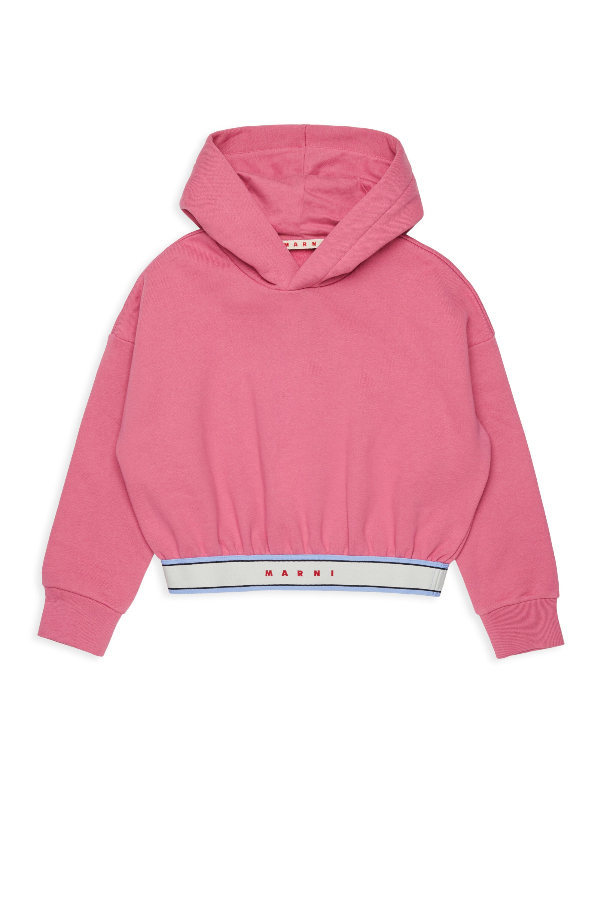 Hooded sweatshirt with logo
