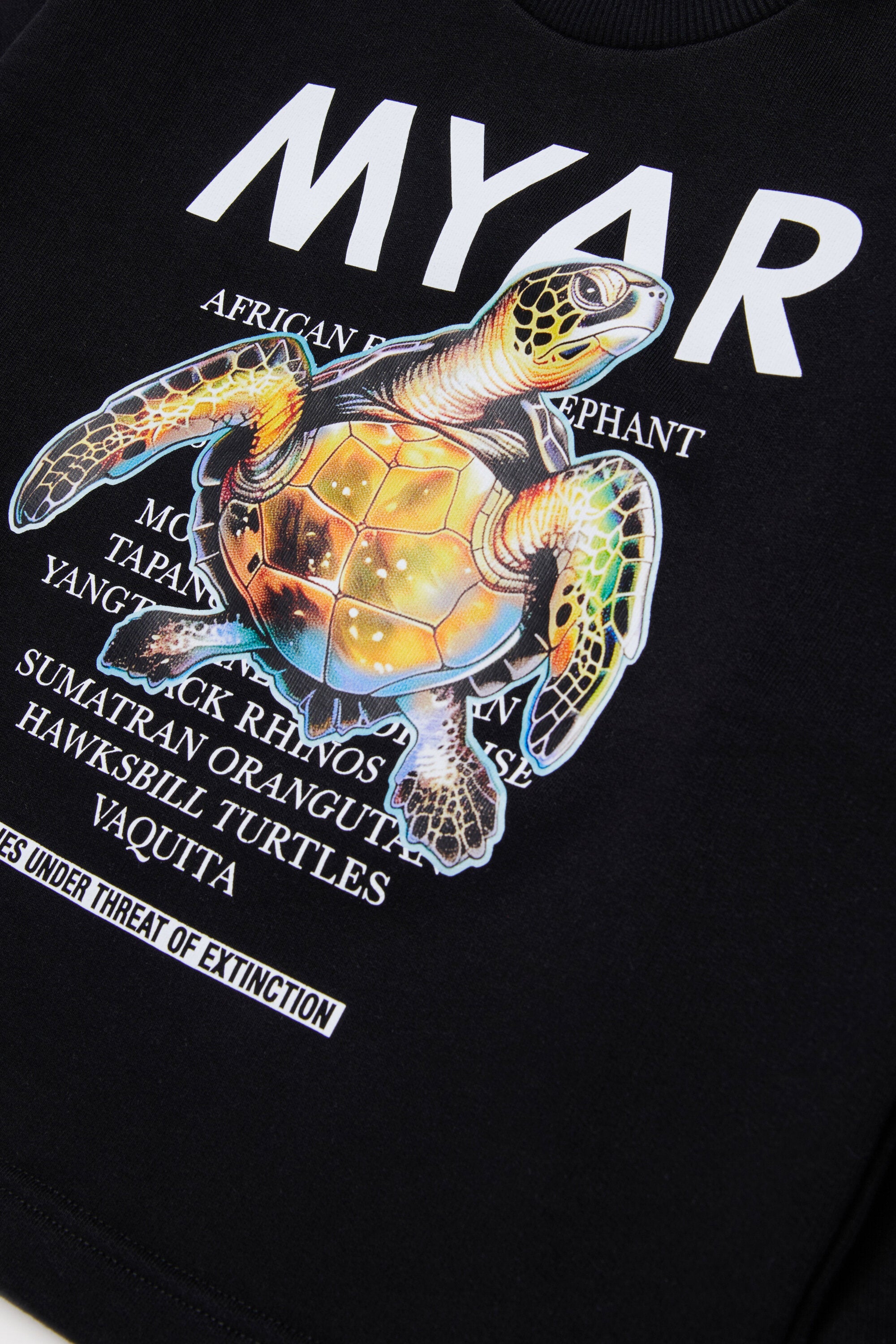 Crewneck sweatshirt with graphic print