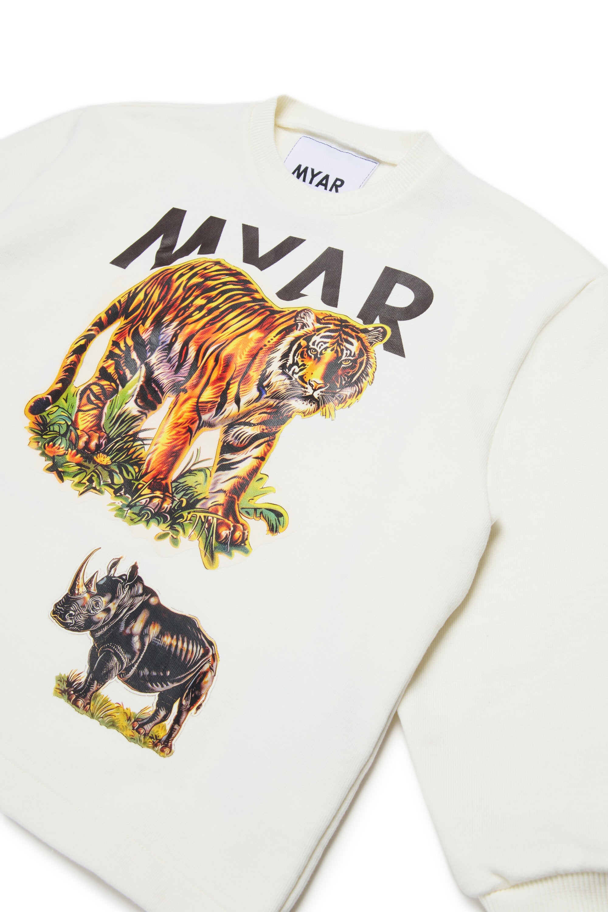 Crewneck sweatshirt with graphic print