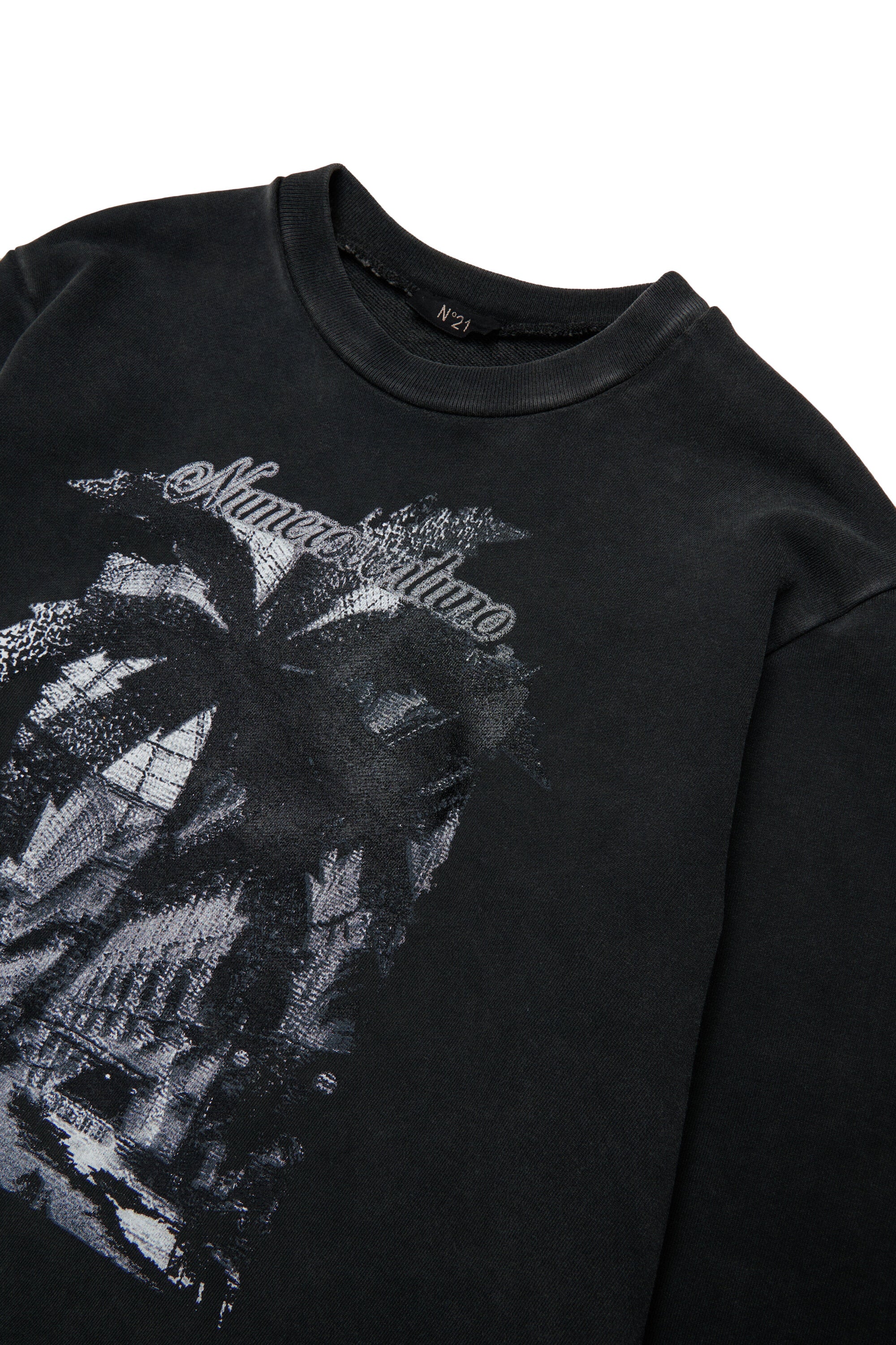 Crew-neck sweatshirt with Palm graphics