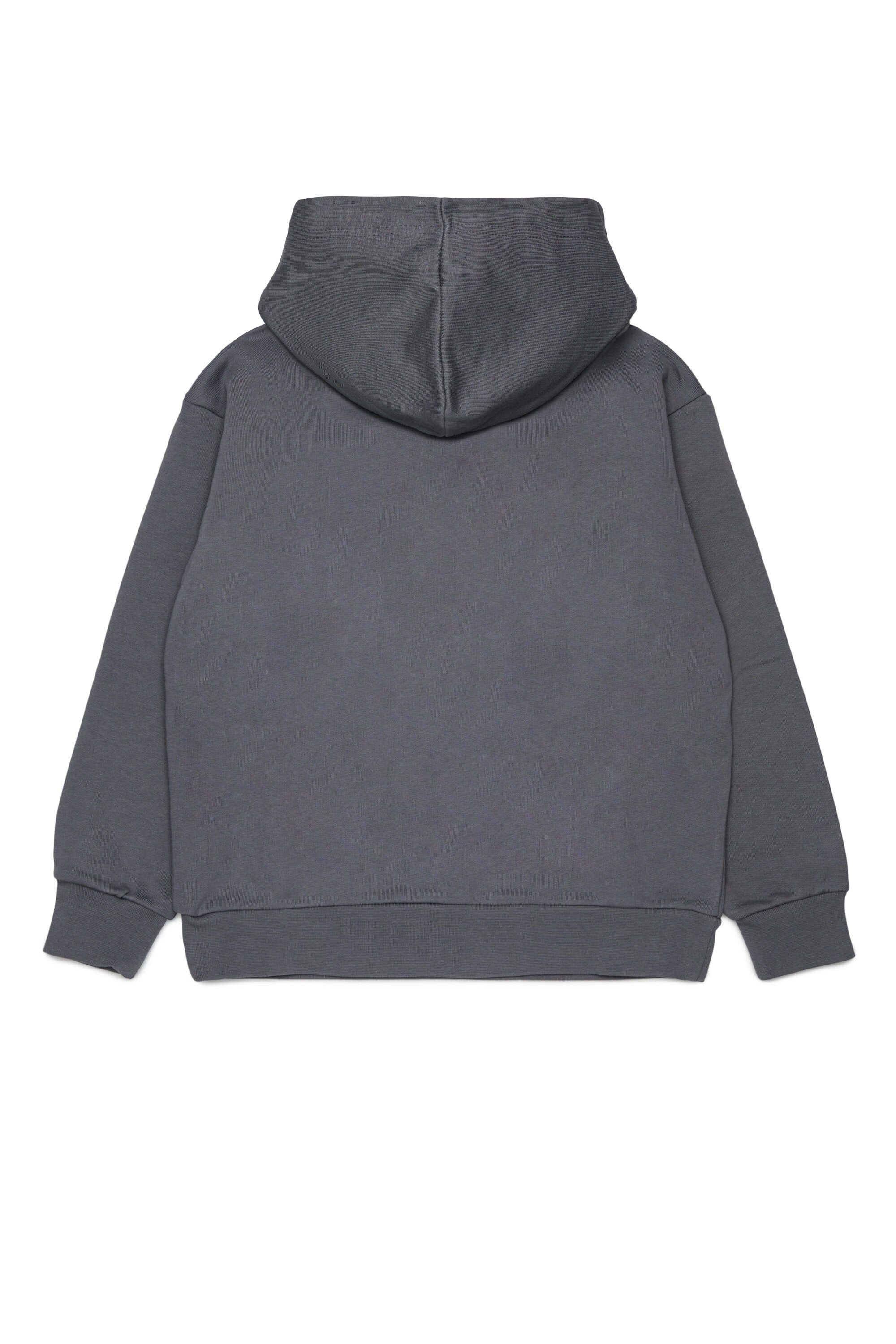 Hooded sweatshirt with logo