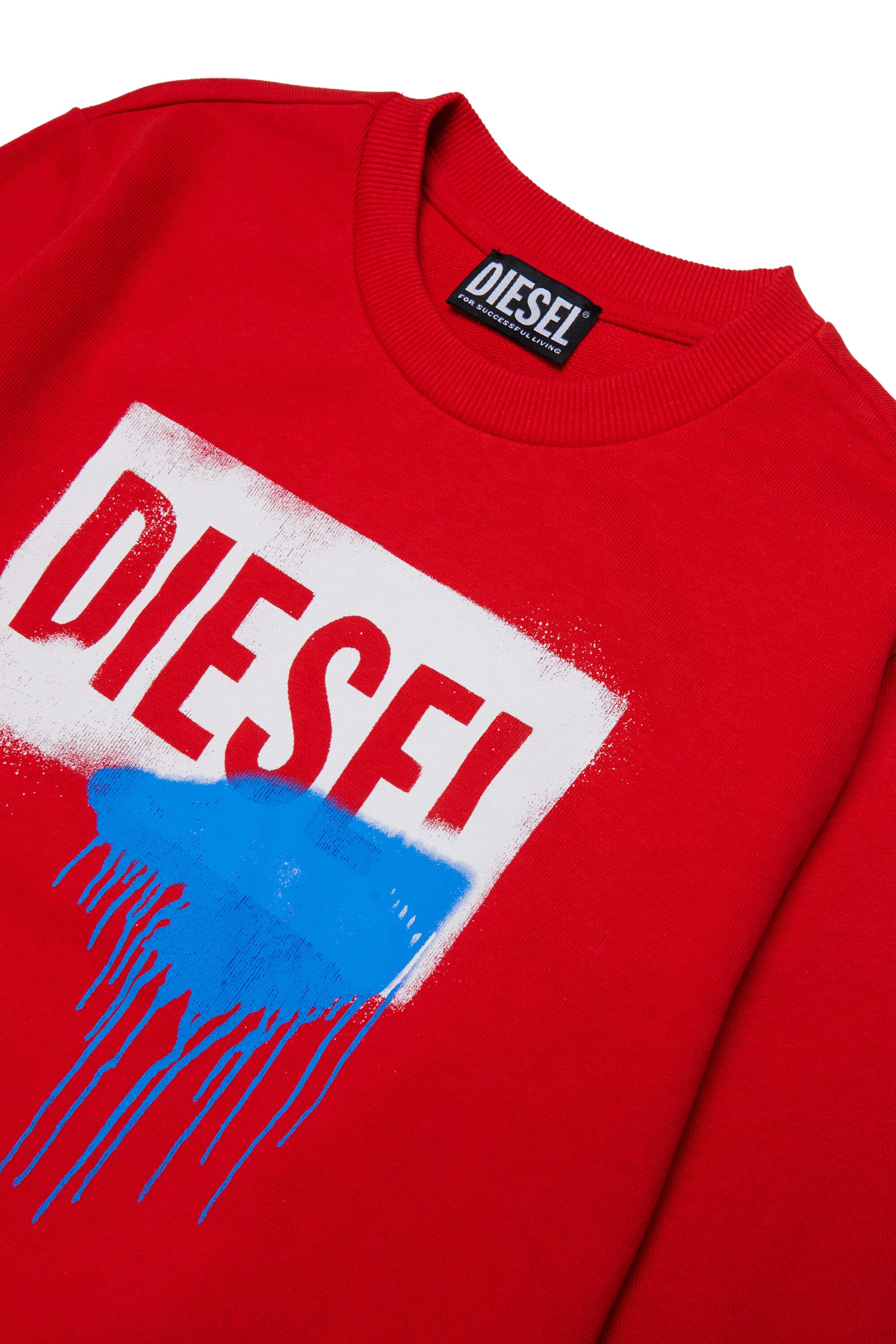 Crewneck sweatshirt with logo