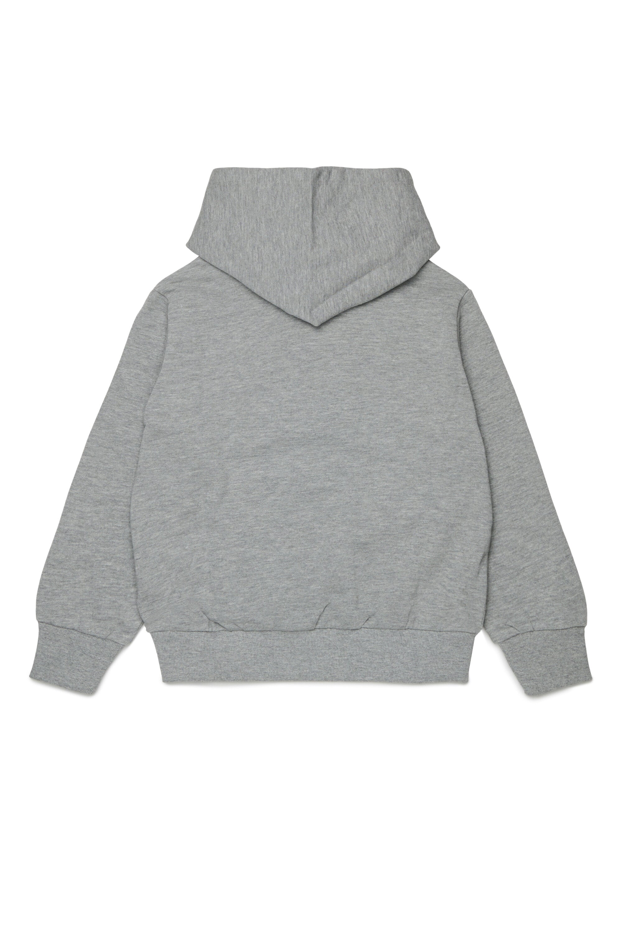 Hooded sweatshirt with logo