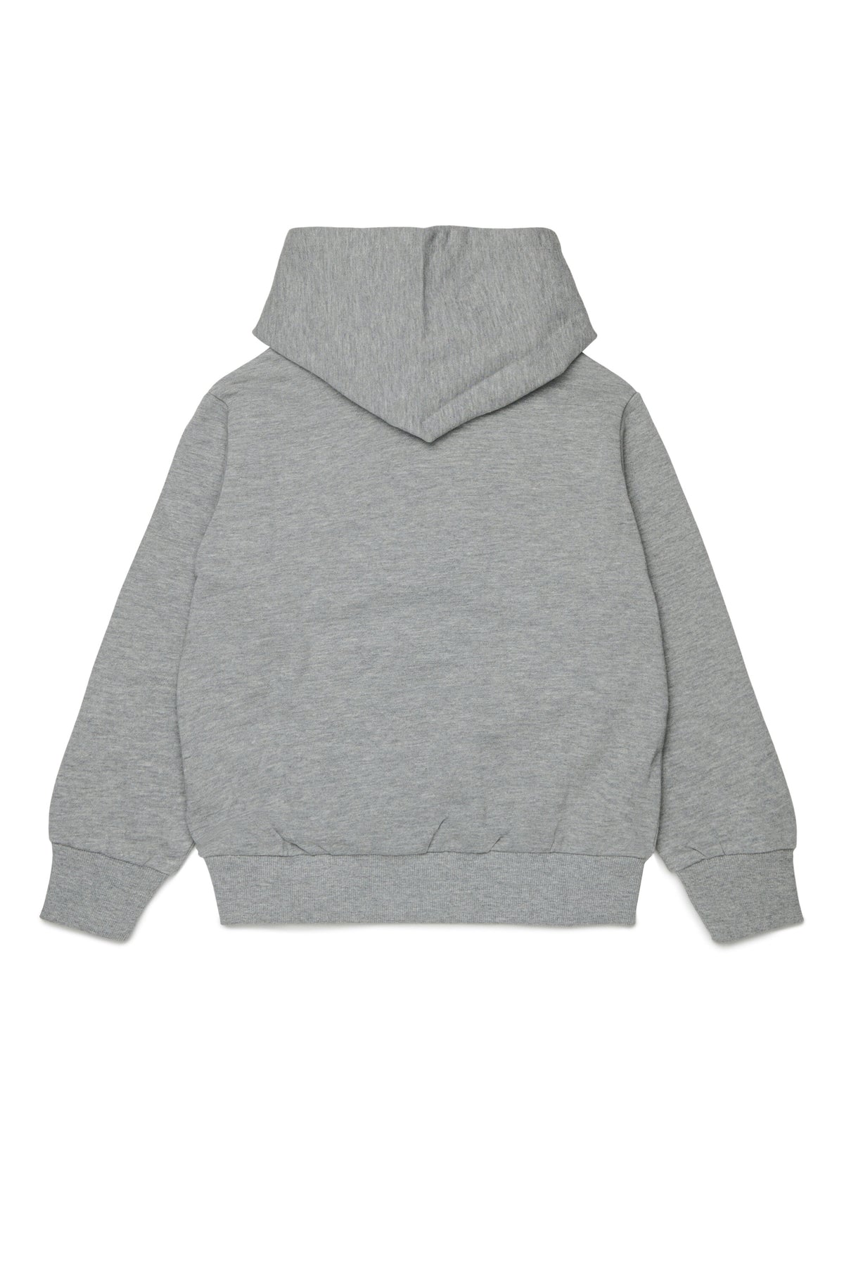 Hooded sweatshirt with logo
