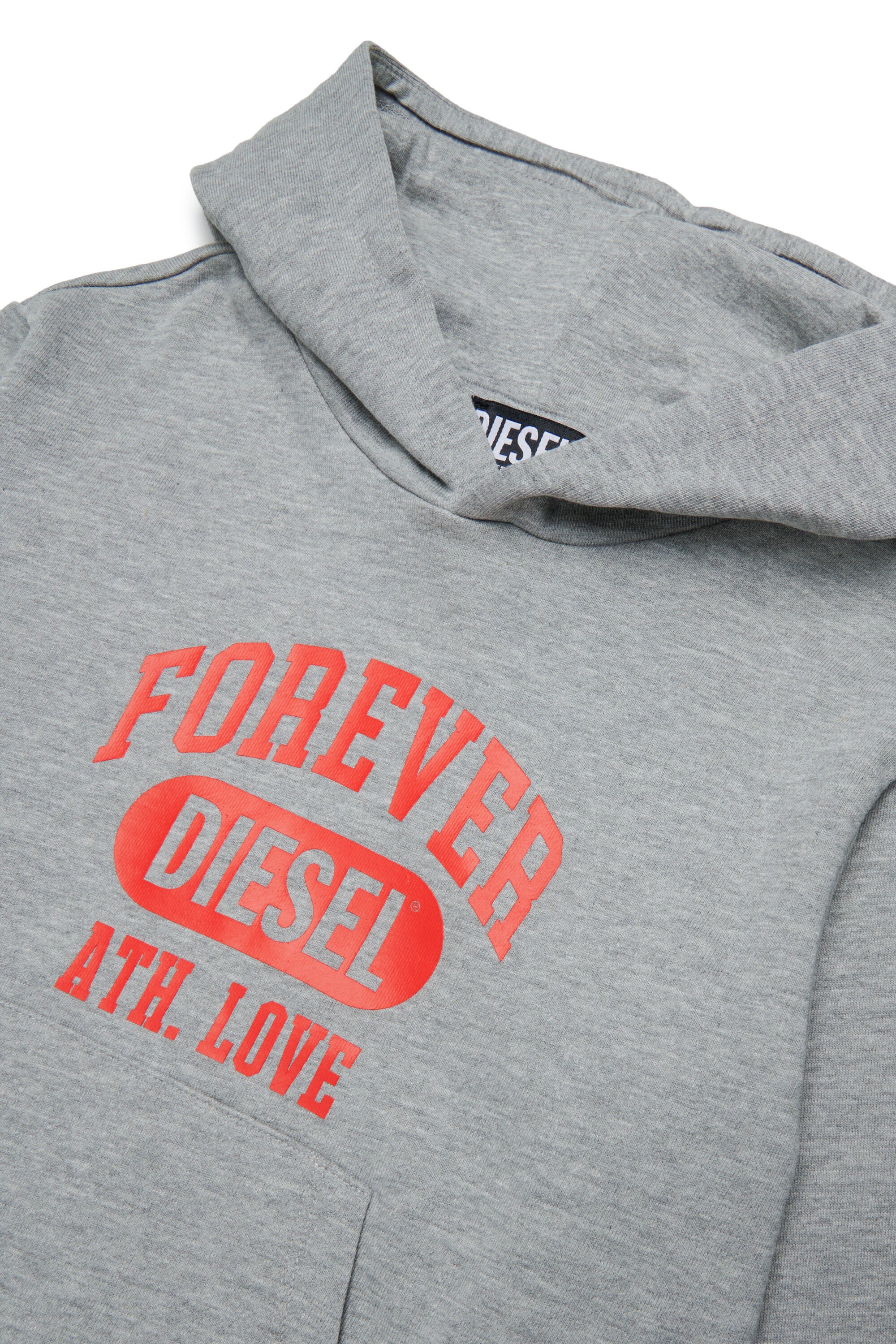 Hooded sweatshirt with logo