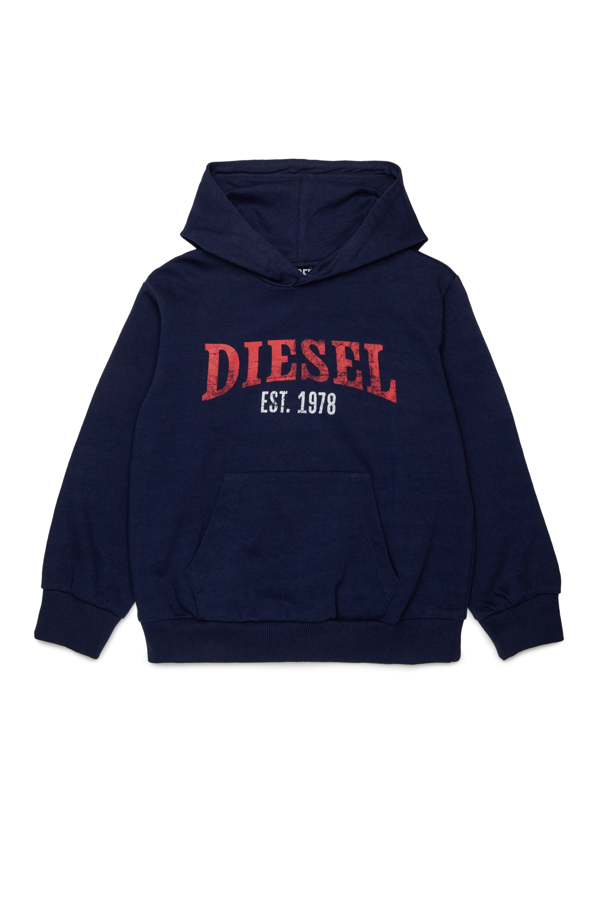 Hooded sweatshirt with logo