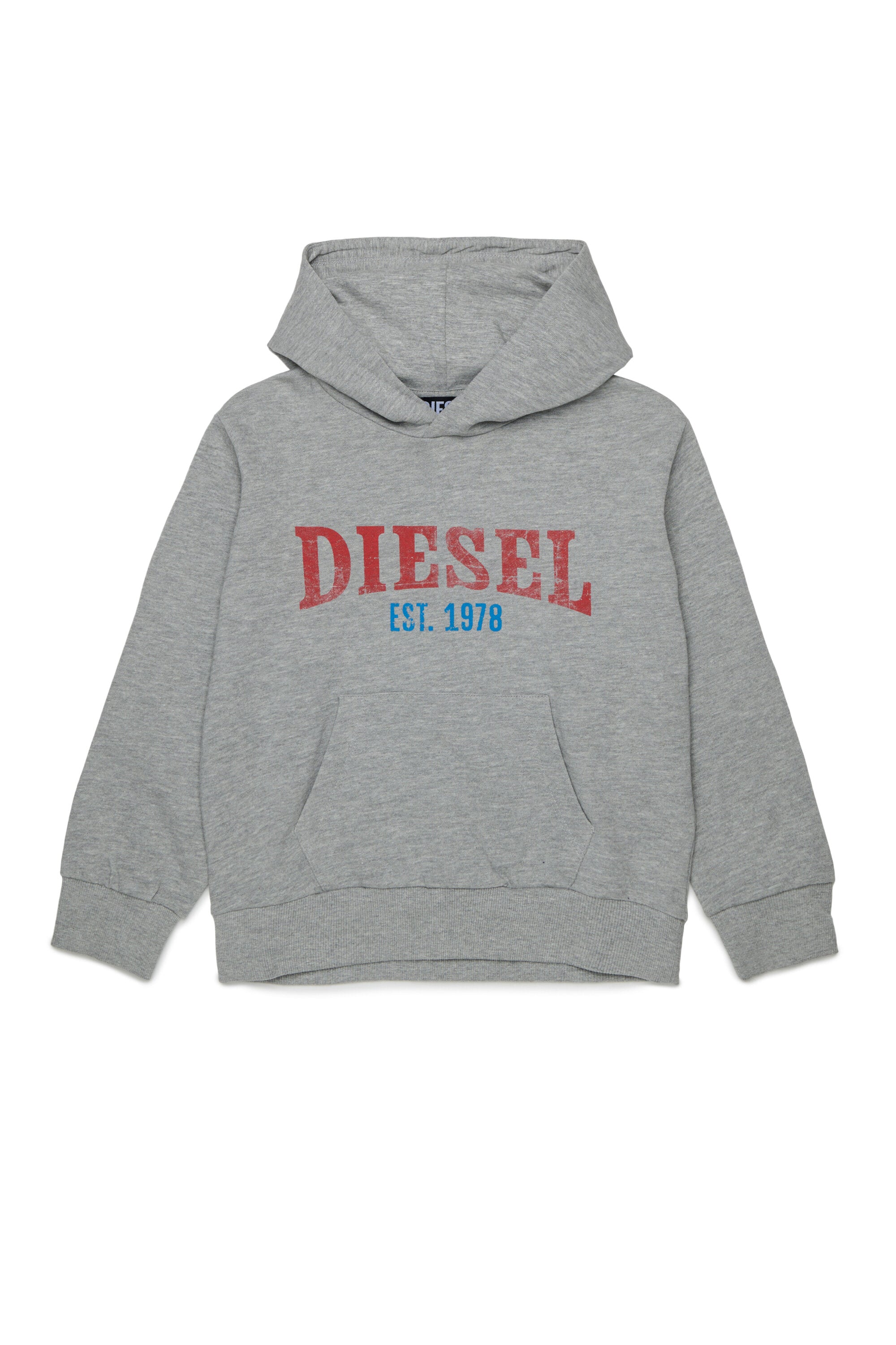 Hooded sweatshirt with logo
