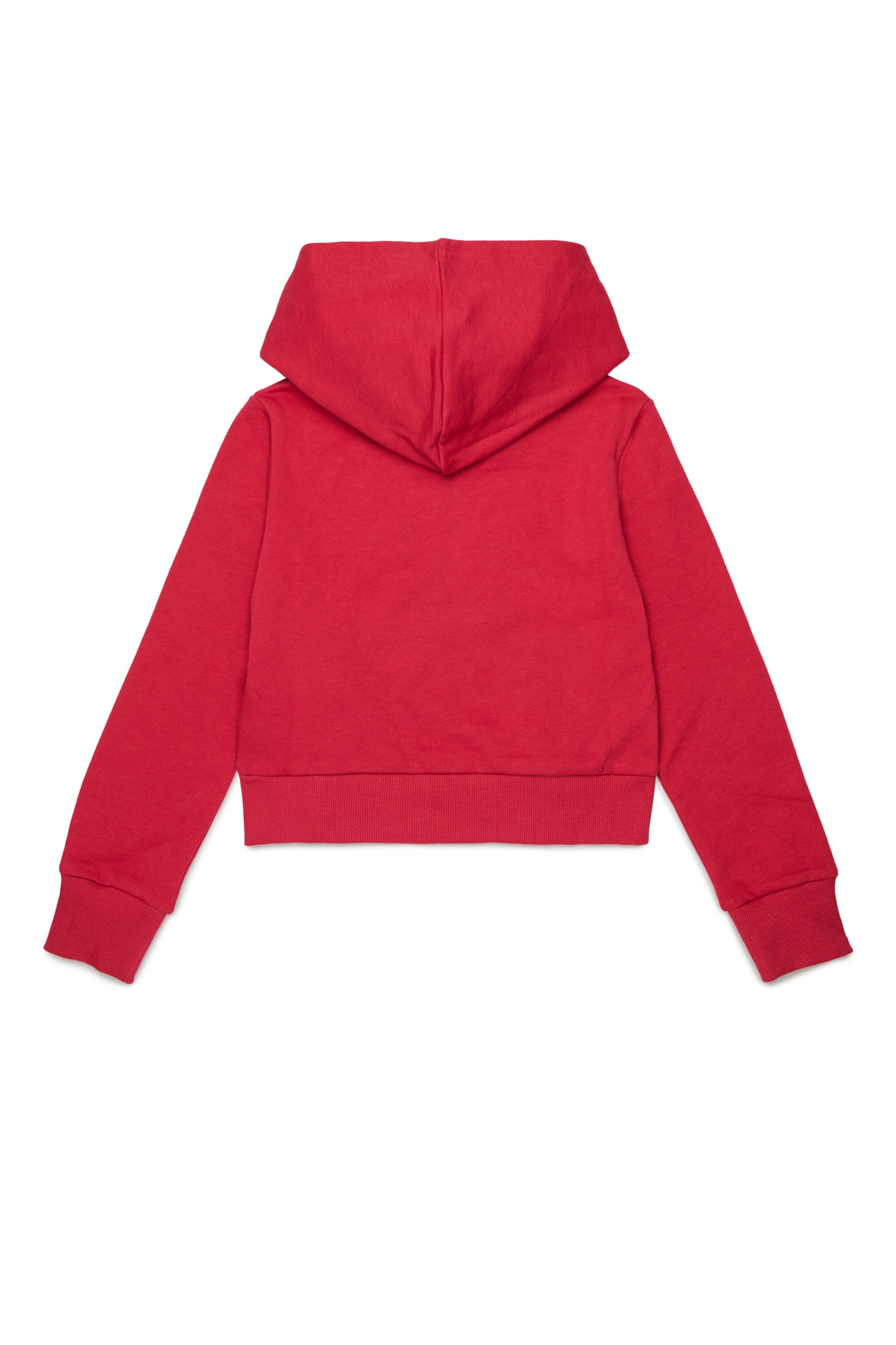 Hooded sweatshirt with logo