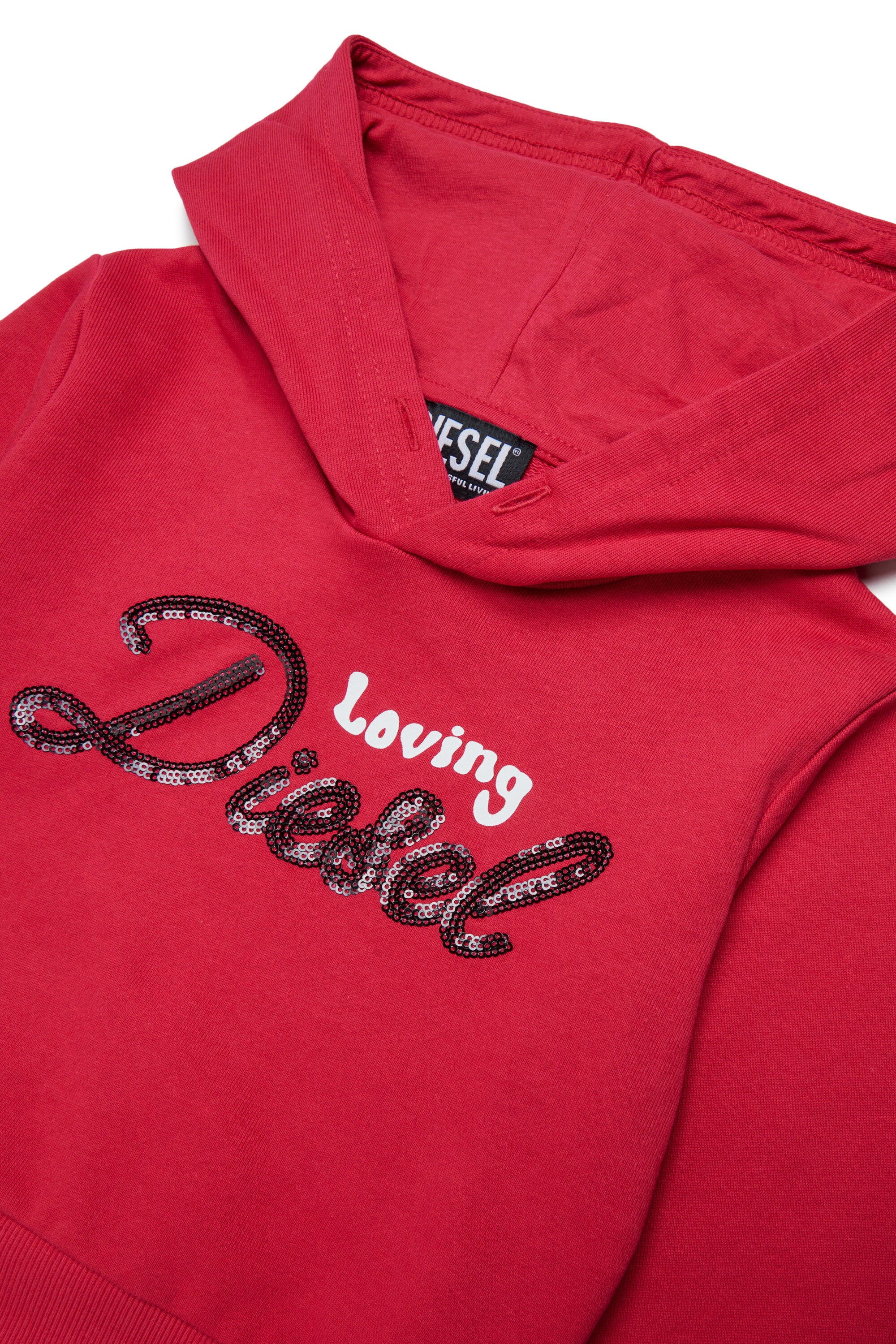 Hooded sweatshirt with logo