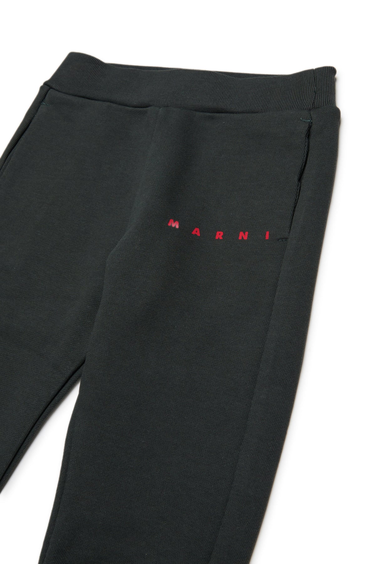 Fleece jogger pants with logo